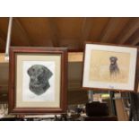 TWO FRAMED STUDIES OF A BLACK LABRADOR TO INCLUDE A WATER COLOUR AND A PASTEL