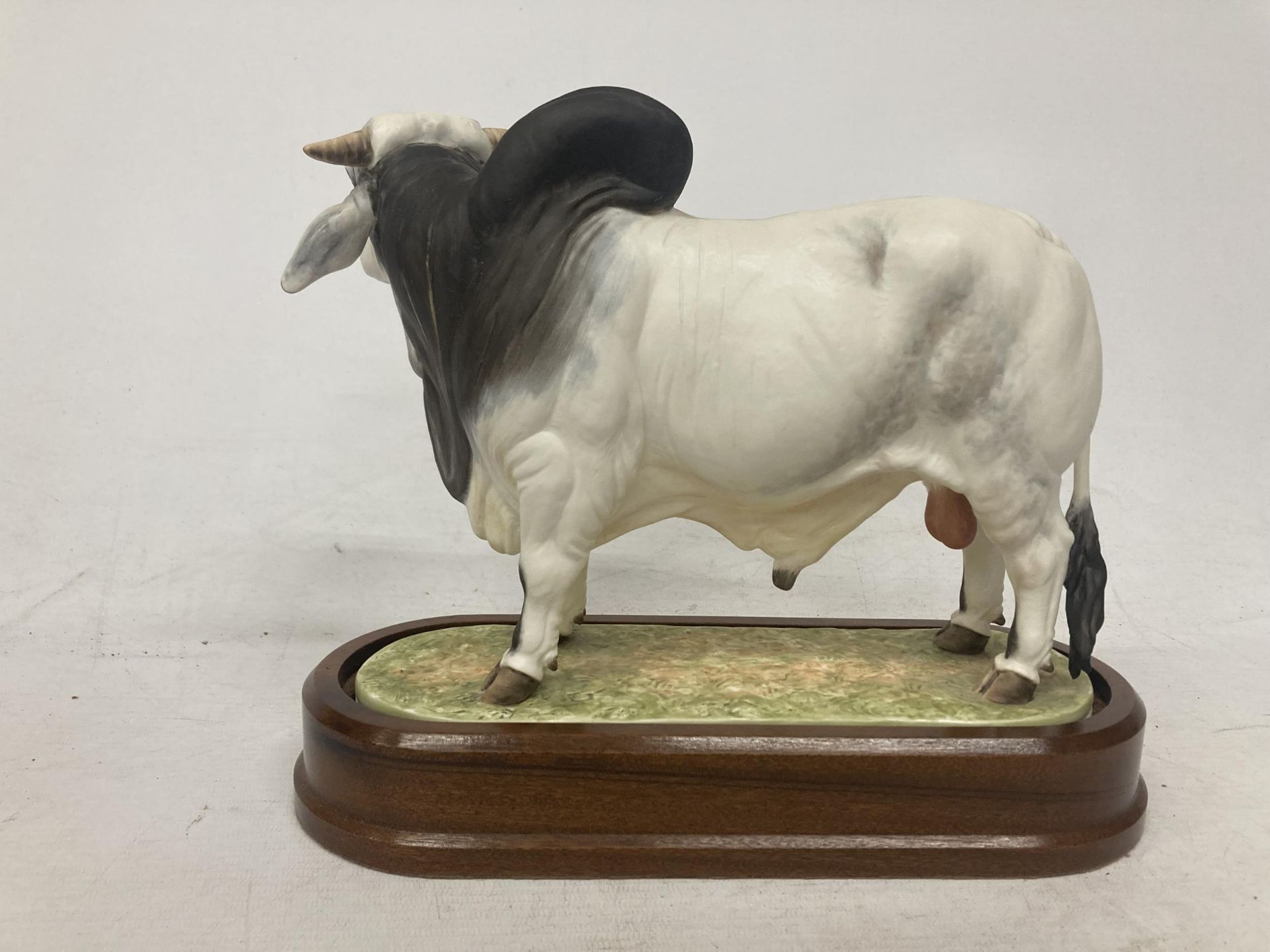 A ROYAL WORCESTER MODEL OF A BRAHMAN BULL MODELLED BY DORIS LINDNER AND PRODUCED IN A LIMITED - Bild 3 aus 5