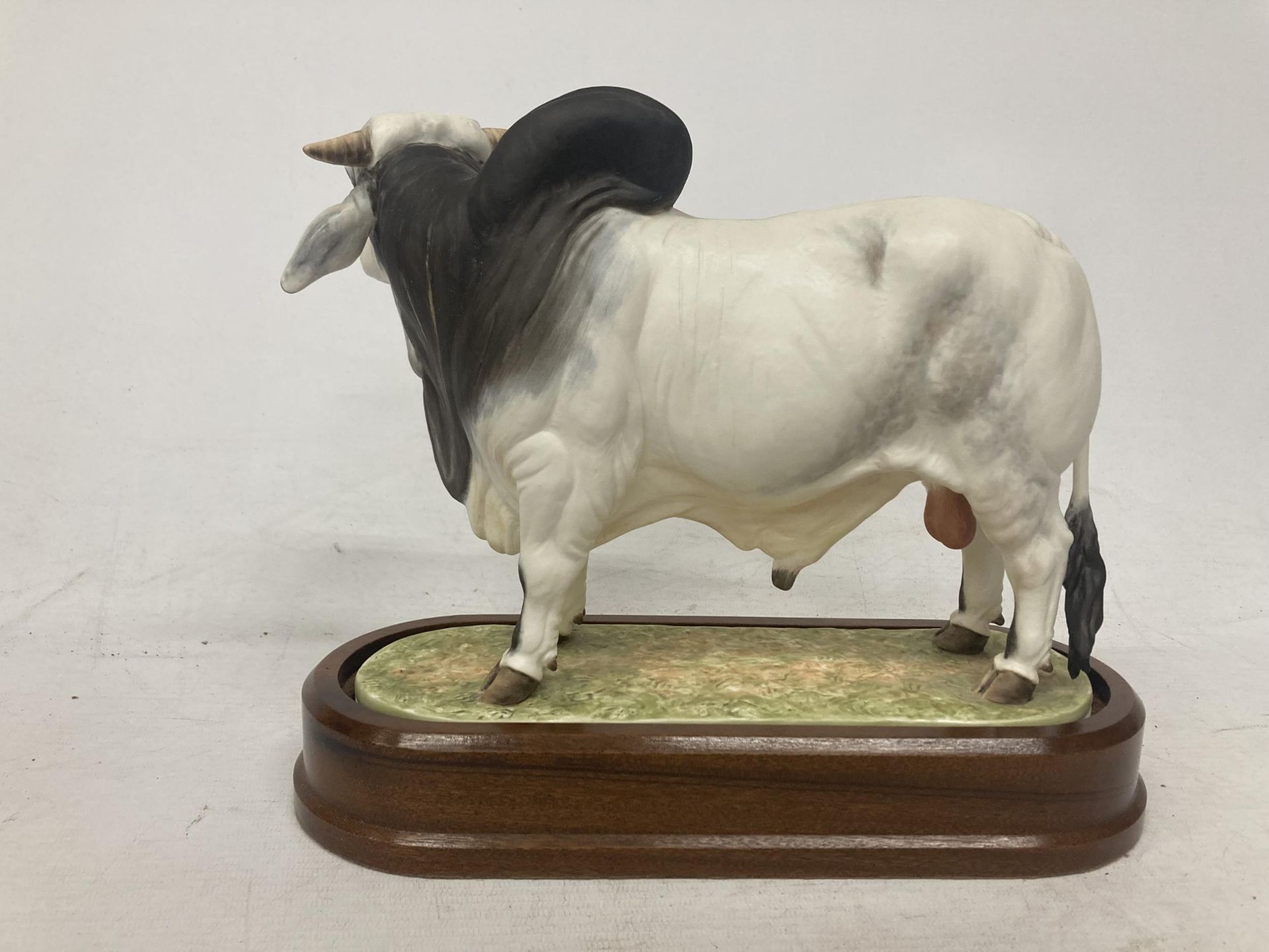 A ROYAL WORCESTER MODEL OF A BRAHMAN BULL MODELLED BY DORIS LINDNER AND PRODUCED IN A LIMITED - Image 3 of 5