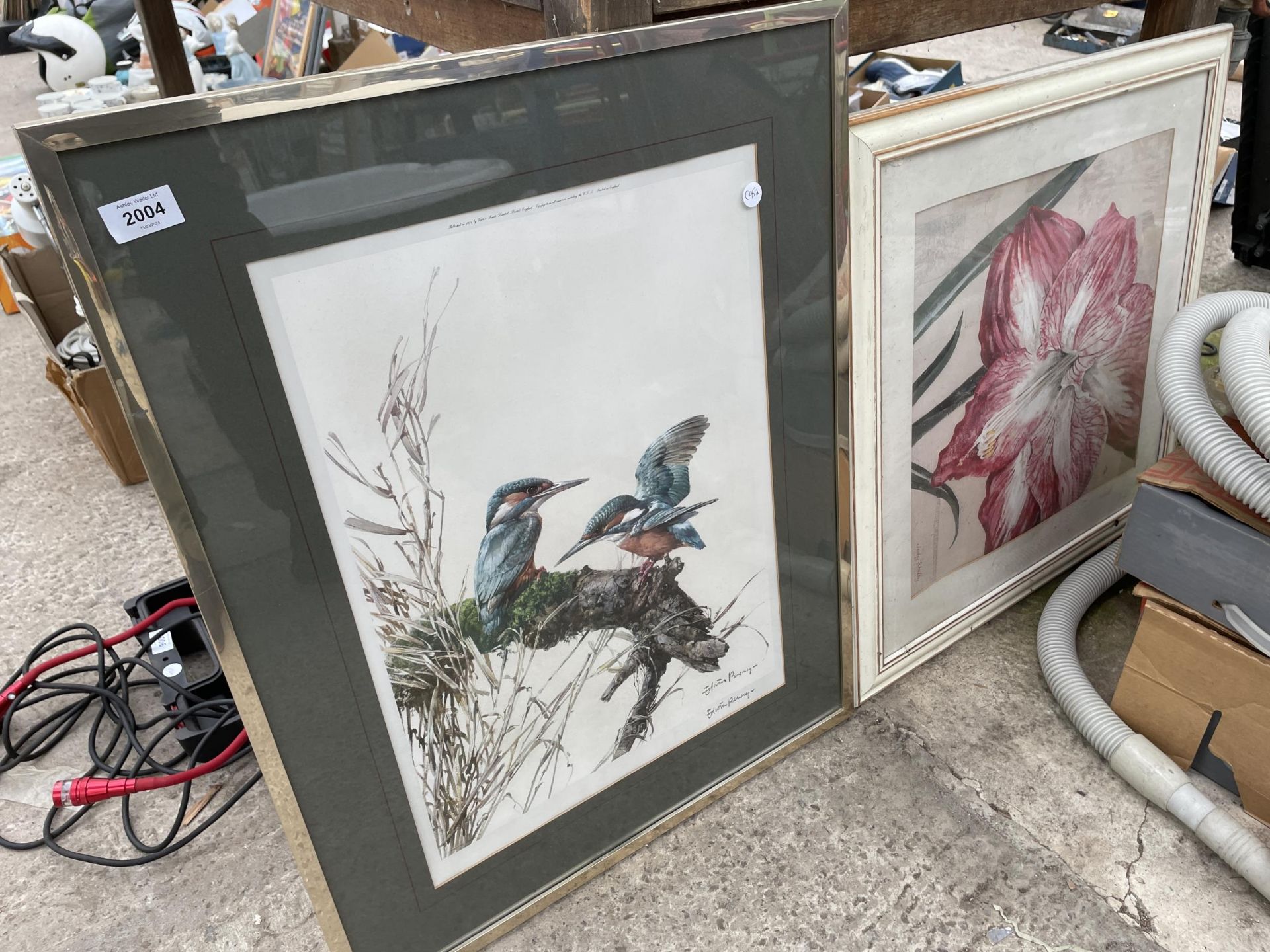 TWO FRAMED PRINTS TO INCLUDE A PAIR OF KINGFISHERS ETC