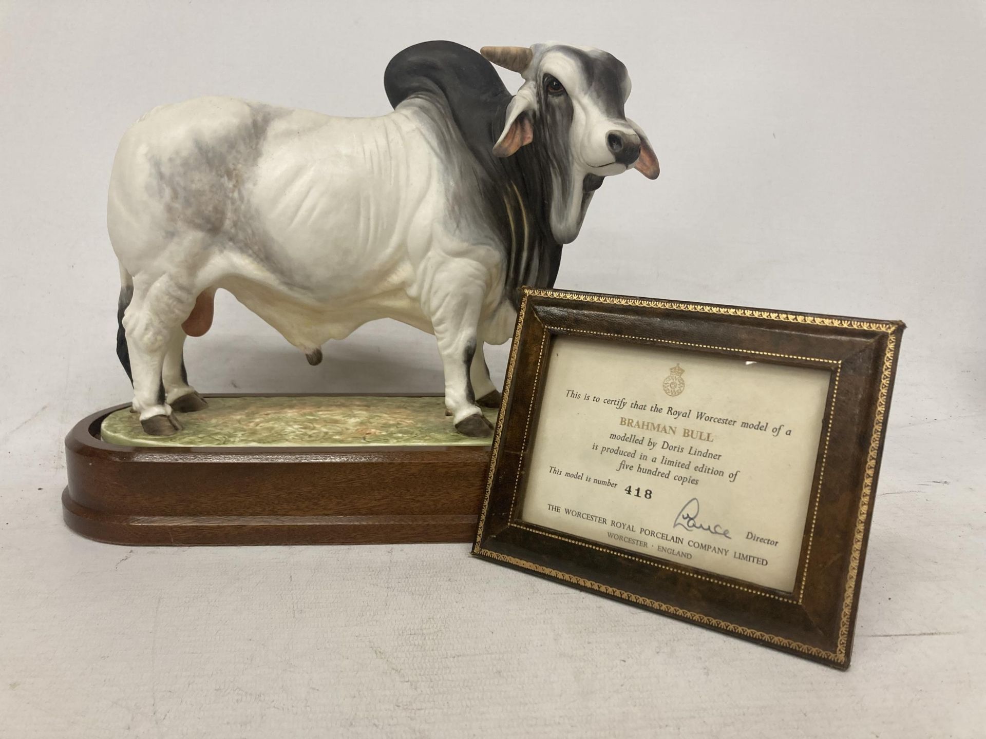 A ROYAL WORCESTER MODEL OF A BRAHMAN BULL MODELLED BY DORIS LINDNER AND PRODUCED IN A LIMITED
