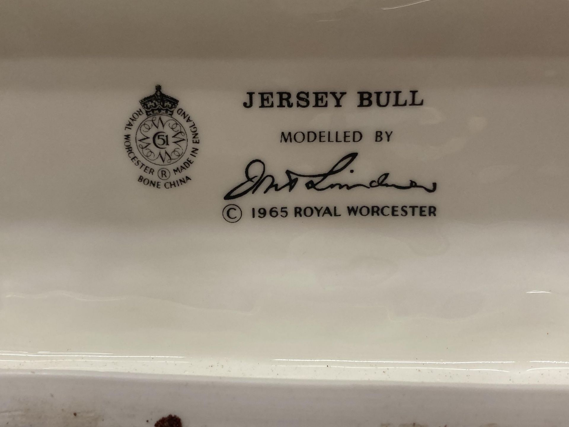 A ROYAL WORCESTER MODEL OF A JERSEY BULL MODELLED BY DORIS LINDNER PRODUCED IN A LIMITED EDITION - Image 5 of 5