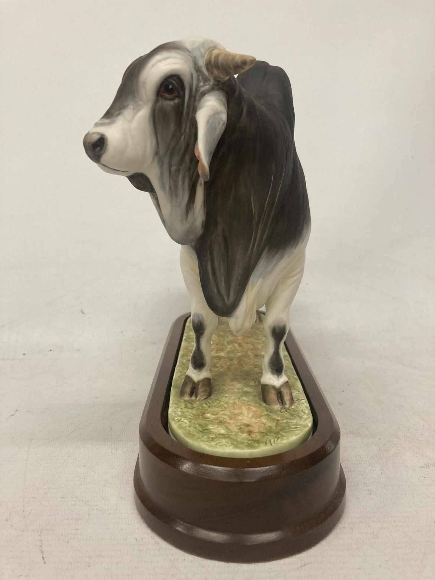 A ROYAL WORCESTER MODEL OF A BRAHMAN BULL MODELLED BY DORIS LINDNER AND PRODUCED IN A LIMITED - Bild 2 aus 5