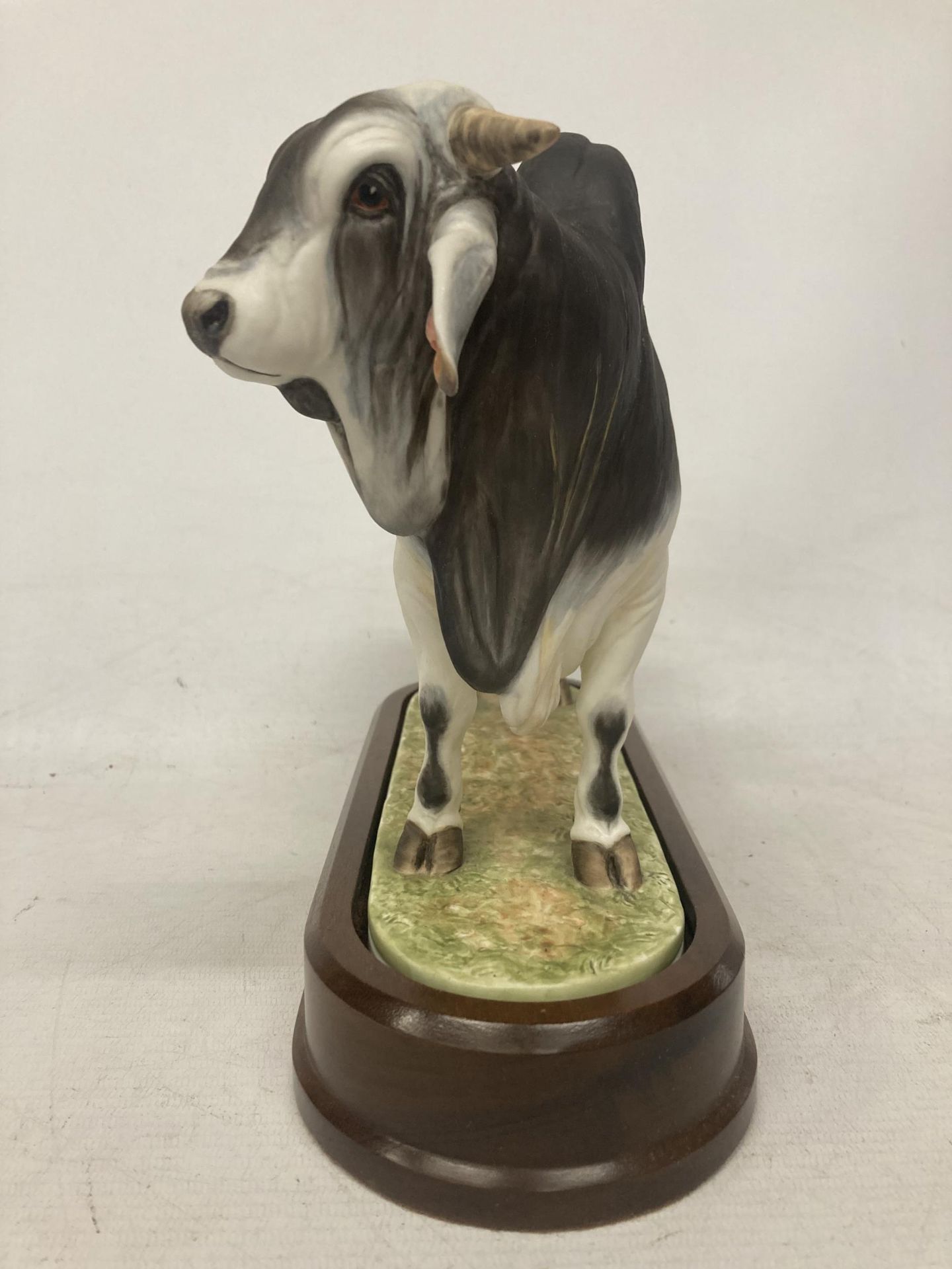 A ROYAL WORCESTER MODEL OF A BRAHMAN BULL MODELLED BY DORIS LINDNER AND PRODUCED IN A LIMITED - Image 2 of 5