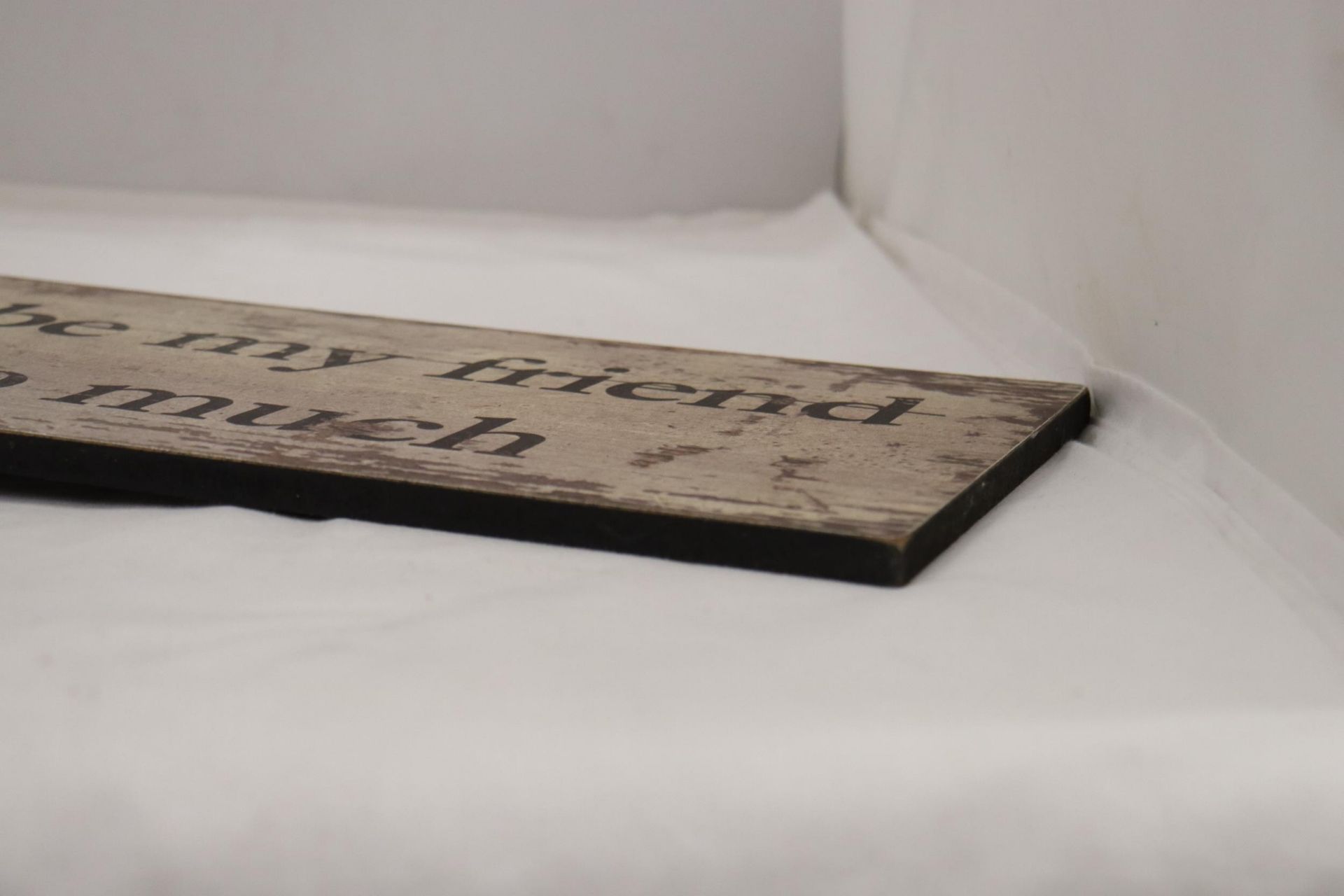 A WOODEN SIGN "YOU'LL ALWAYS BE MY FRIEND YOU KNOW TOO MUCH" 24x7" - Bild 3 aus 4