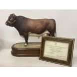 A ROYAL WORCESTER MODEL OF A DAIRY SHORTHORN BULL MODELLED BY DORIS LINDNER PRODUCED IN A LIMITED