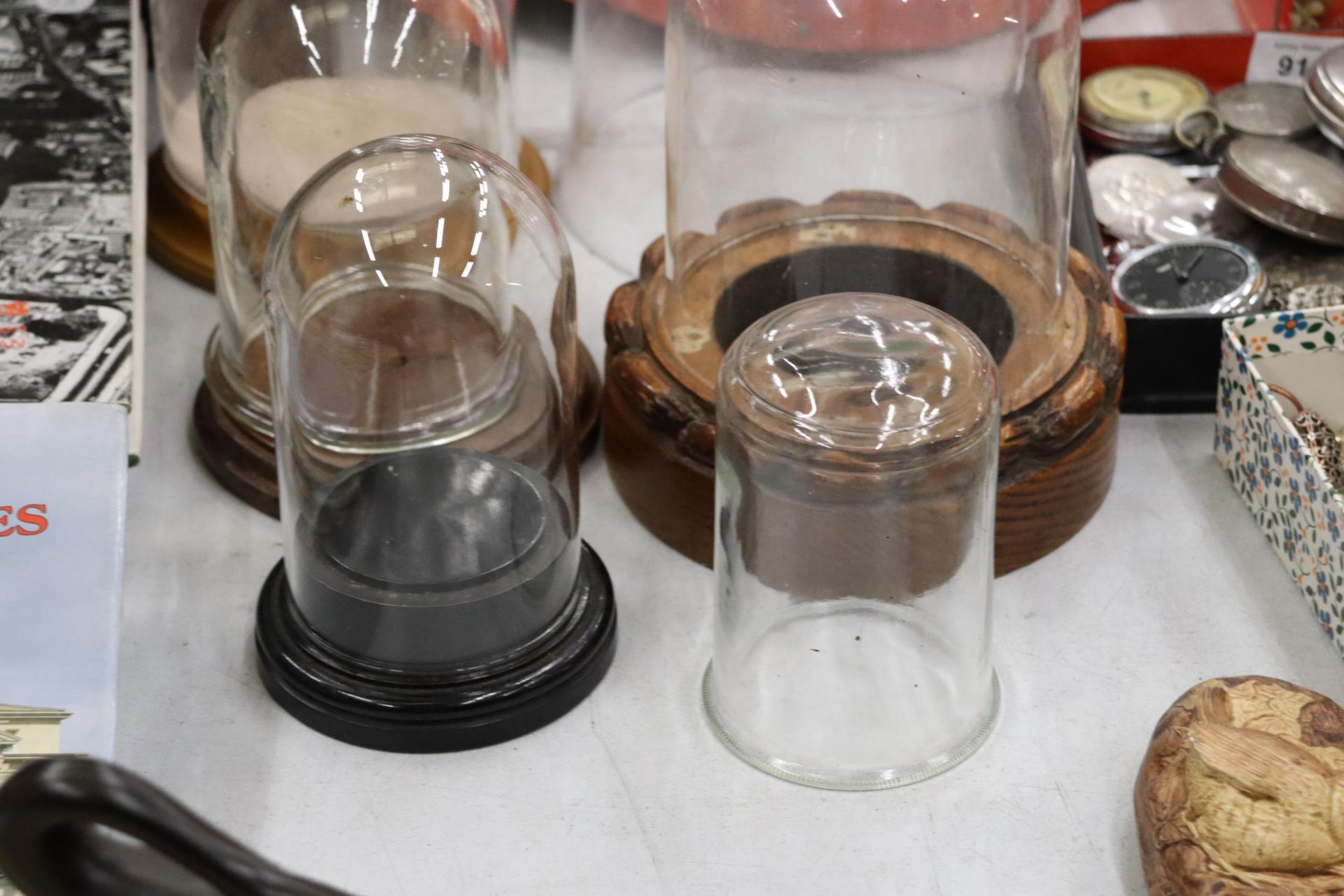SIX DISPLAY DOMES AND FOUR BASES, FOUR GLASS AND TWO PLASTIC - Image 4 of 6