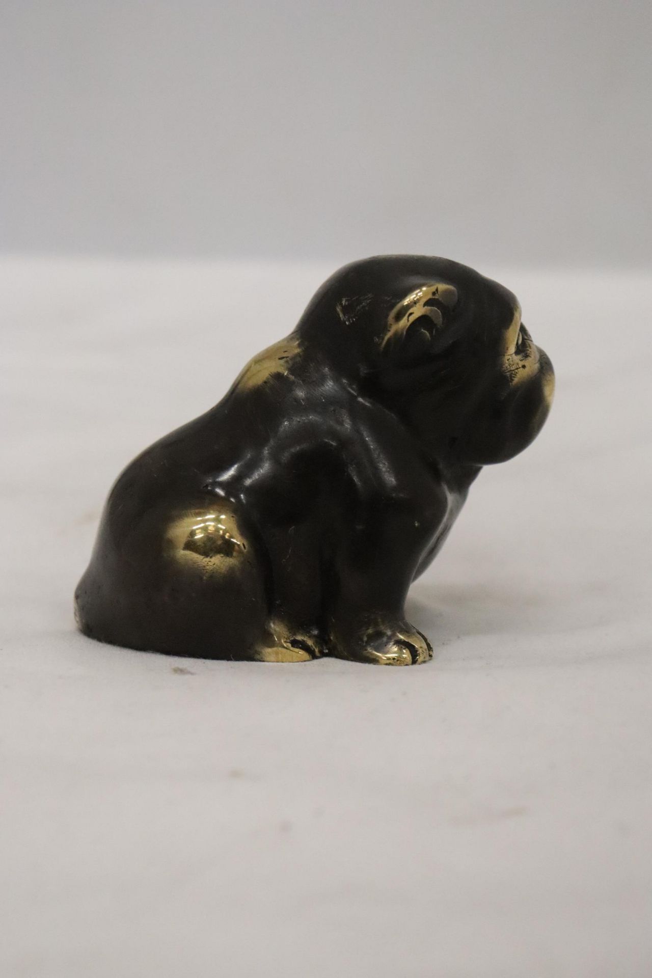 A BRONZE FIGURE OF A BULLDOG - Bild 4 aus 5