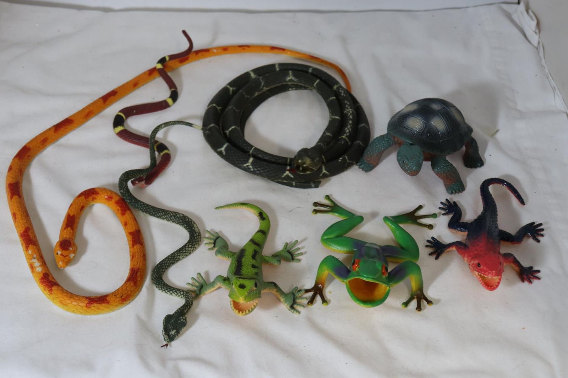 ATUB CONTAINING REPTILES AND AMPHIBIANS - Image 3 of 5