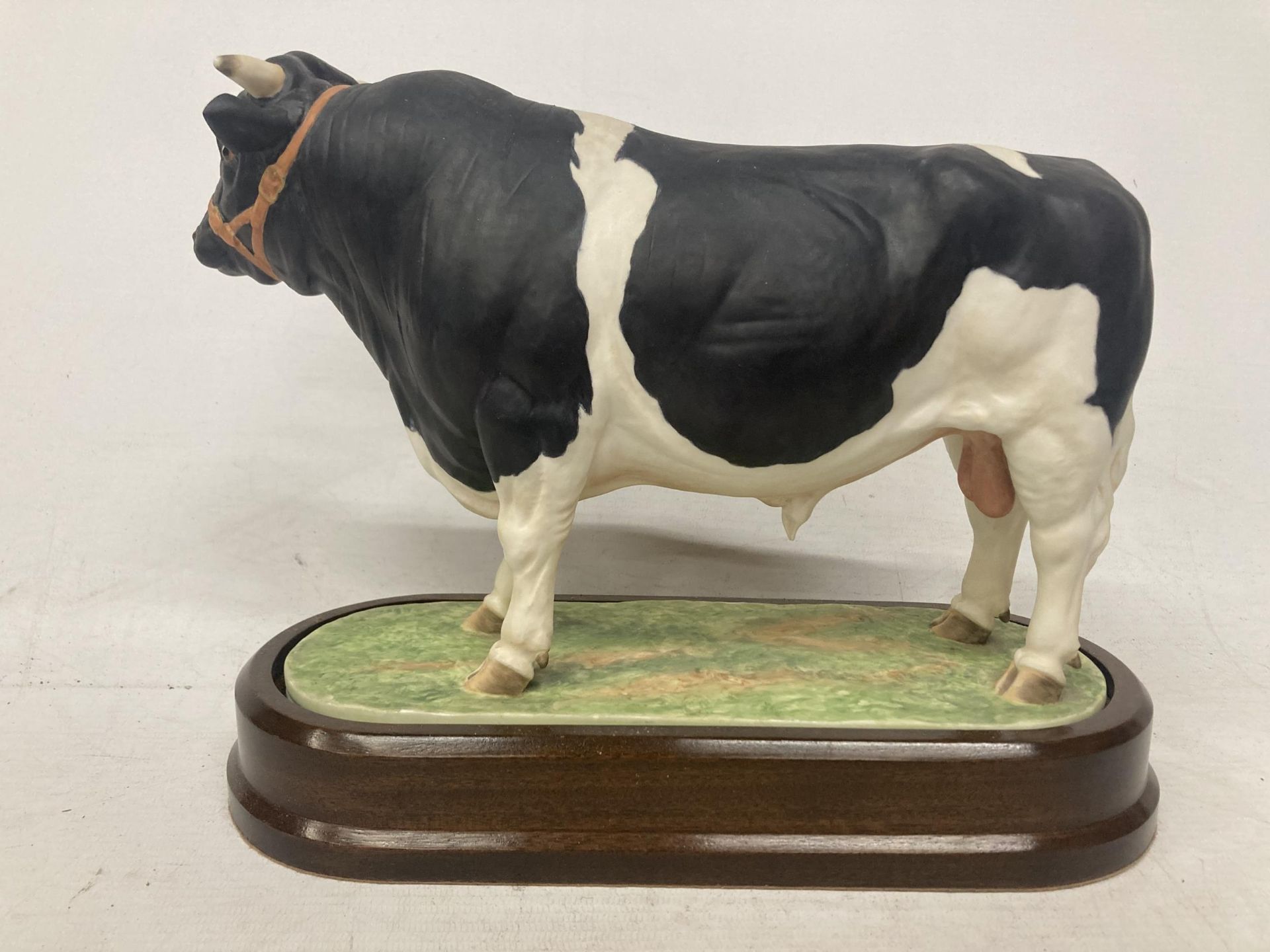 A ROYAL WORCESTER MODEL OF A BRITISH FRESIAN BULL MODELLED BY DORIS LINDNER AND PRODUCED IN A - Image 3 of 5