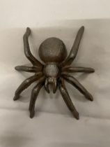 A CAST IRON TARANTULA FIGURE