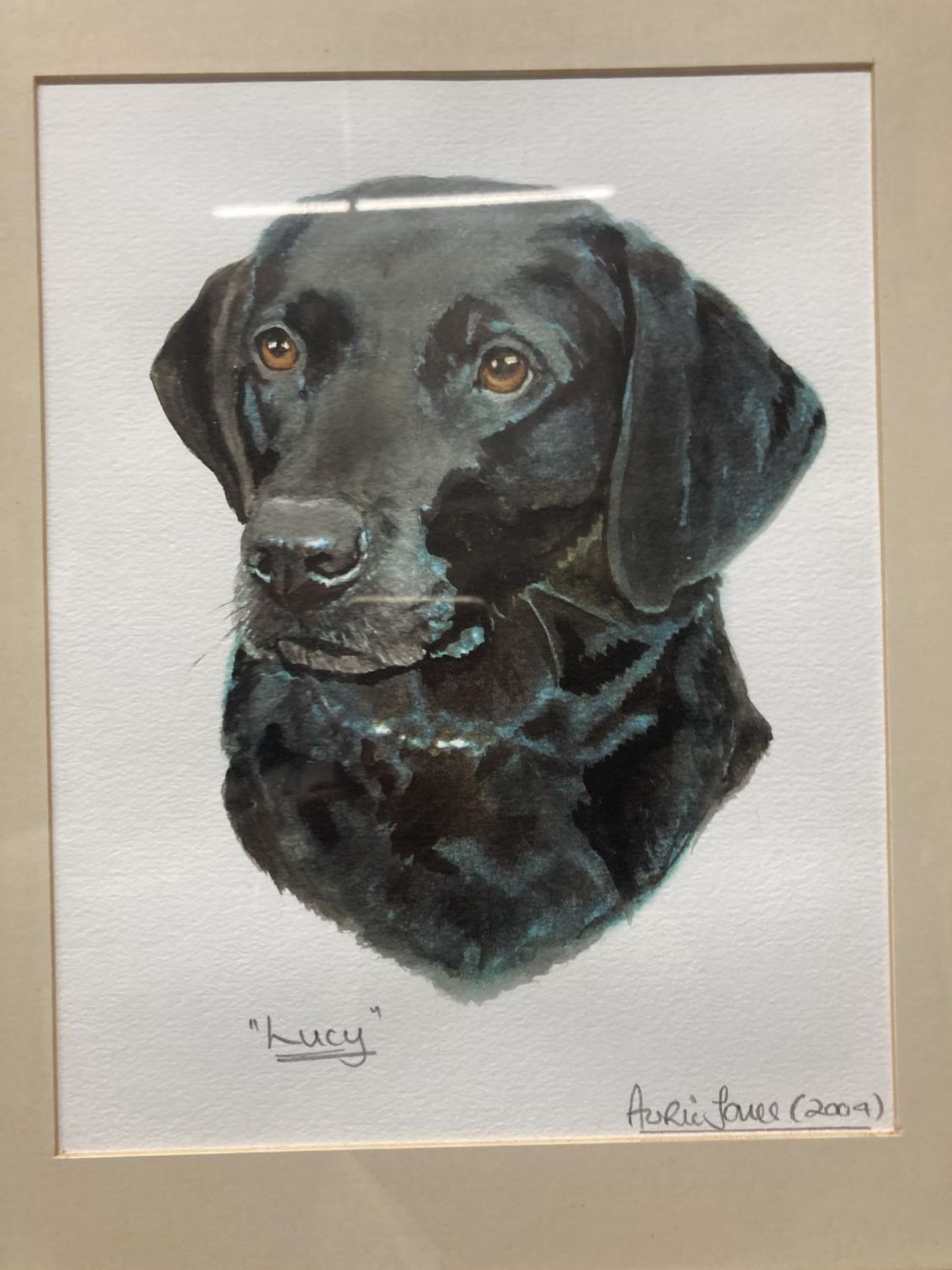 TWO FRAMED STUDIES OF A BLACK LABRADOR TO INCLUDE A WATER COLOUR AND A PASTEL - Image 2 of 3