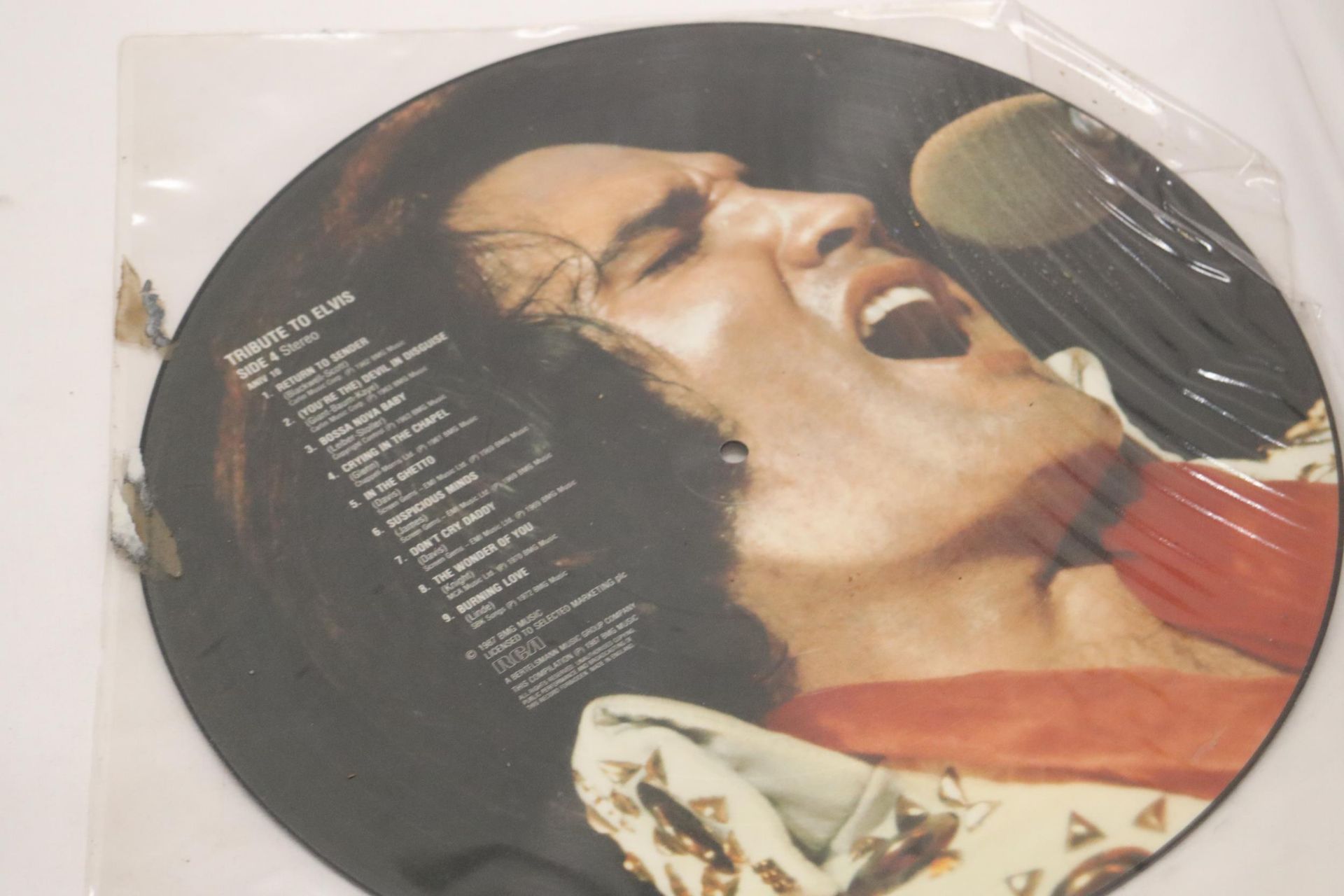 TWO ELVIS DOUBLE SIDED 12" PICTURE DISCS - Image 3 of 6