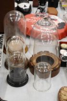 SIX DISPLAY DOMES AND FOUR BASES, FOUR GLASS AND TWO PLASTIC