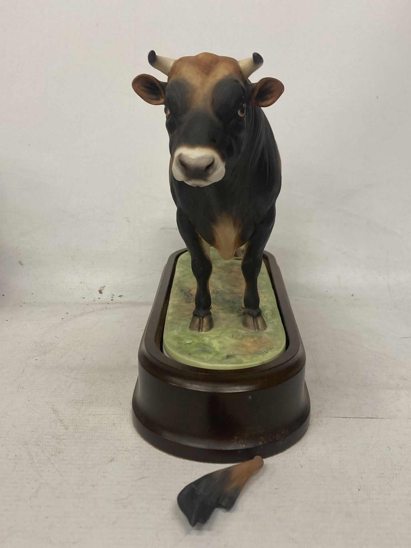 A ROYAL WORCESTER MODEL OF A JERSEY BULL MODELLED BY DORIS LINDNER PRODUCED IN A LIMITED EDITION - Image 2 of 5