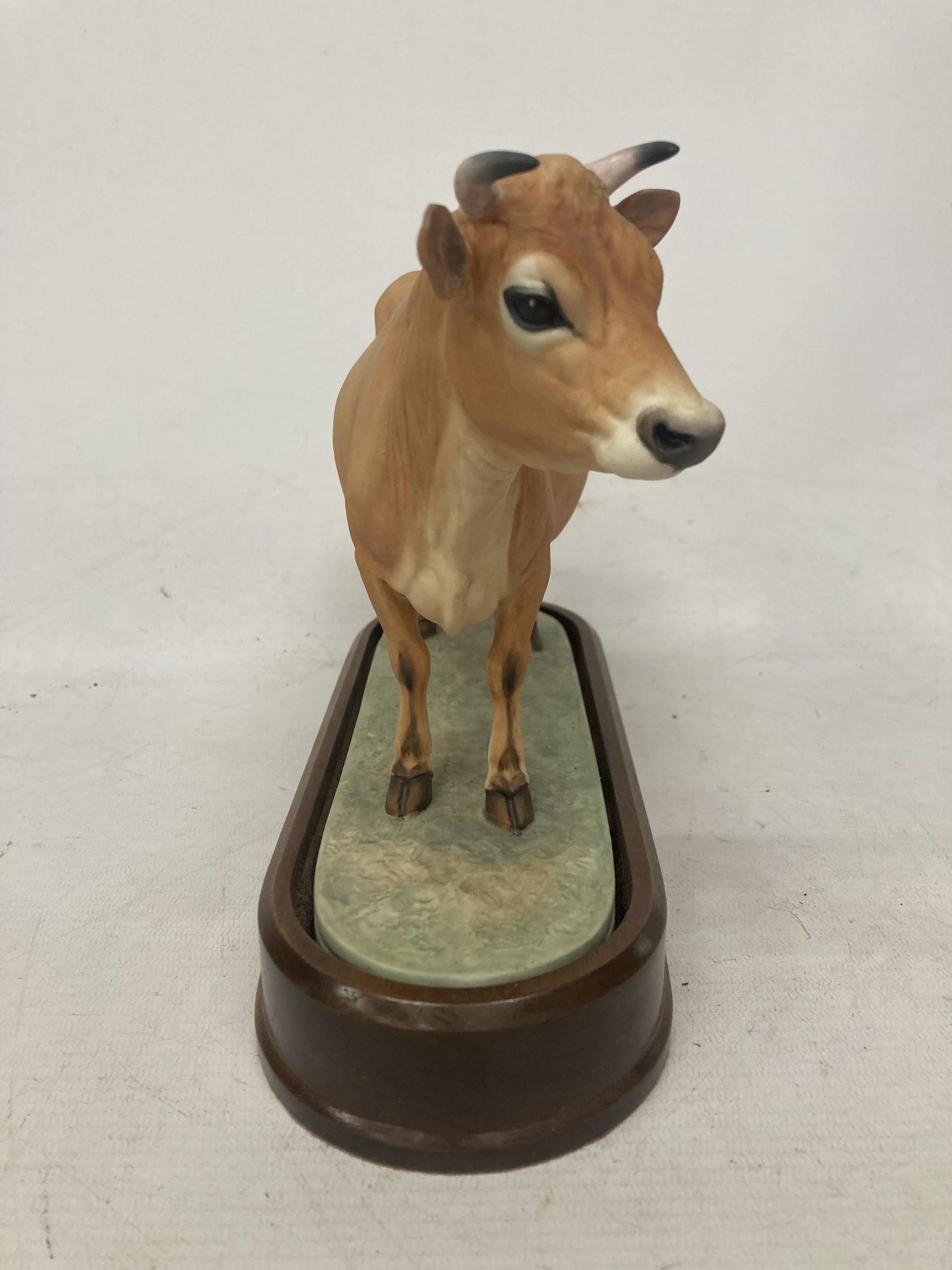 A ROYAL WORCESTER MODEL OF A JERSEY COW MODELLED BY DORIS LINDNER AND PRODUCED IN A LIMITED - Image 2 of 5