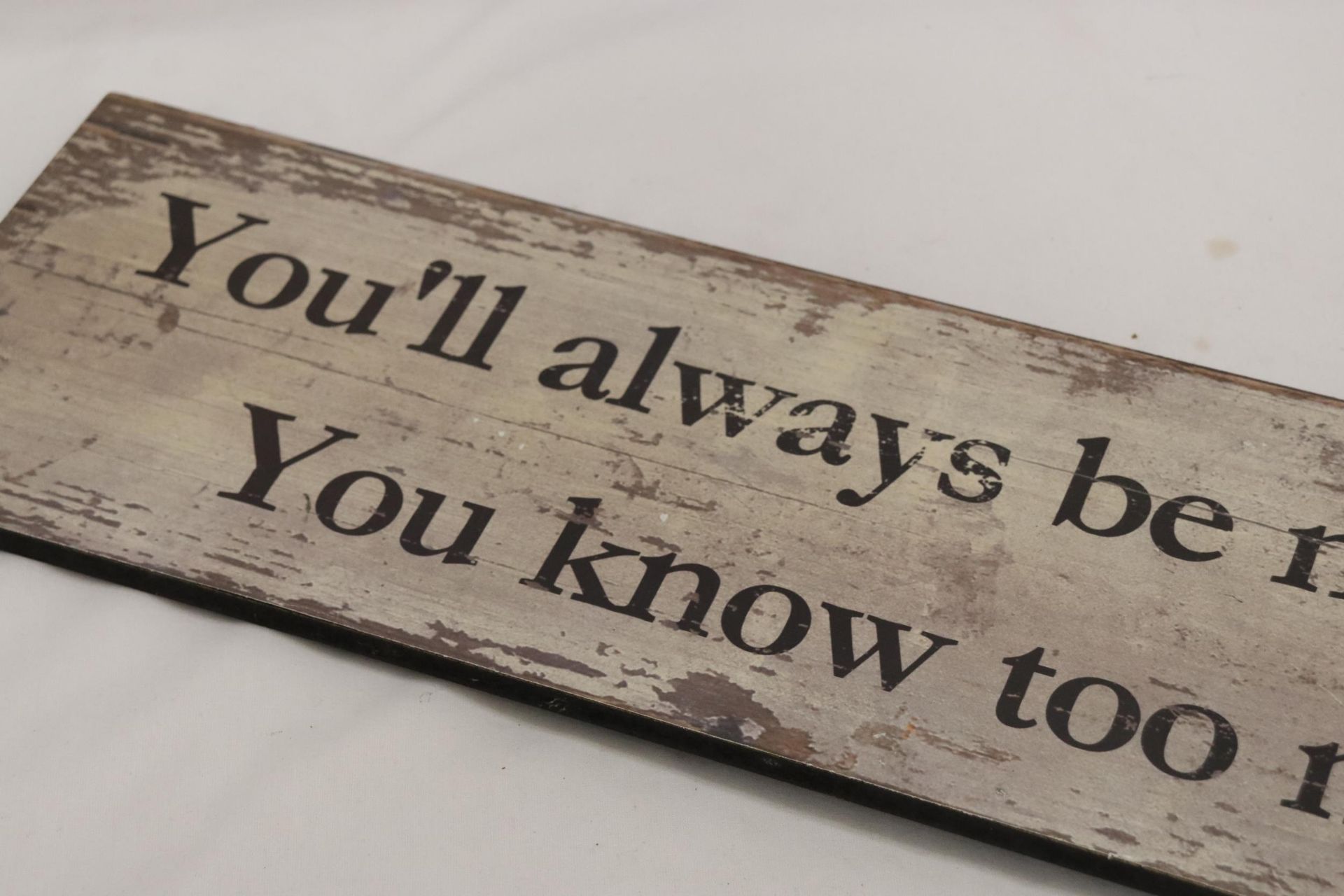 A WOODEN SIGN "YOU'LL ALWAYS BE MY FRIEND YOU KNOW TOO MUCH" 24x7" - Bild 2 aus 4