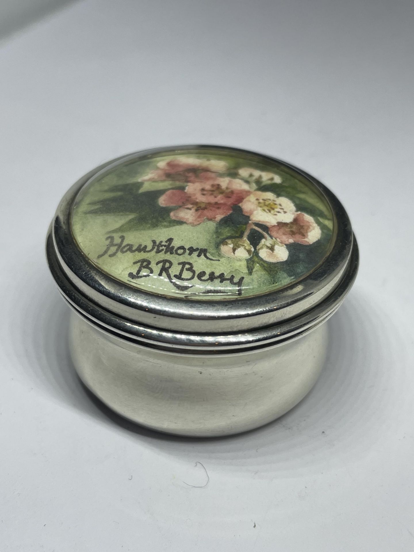 A HALLMARKED BIRMINGHAM SILVER POT WITH A WATERCOLOUR INSERT HAWTHORN BR BERRY - Image 2 of 4