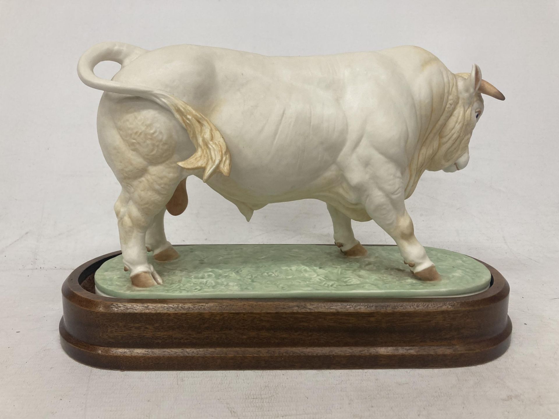 A ROYAL WORCESTER MODEL OF A CHAROLAIS BULL MODELLED BY DORIS LINDNER AND PRODUCED IN A LIMITED - Image 3 of 5