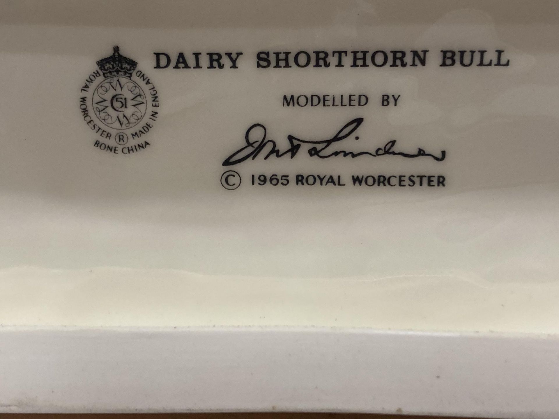 A ROYAL WORCESTER MODEL OF A DAIRY SHORTHORN BULL MODELLED BY DORIS LINDNER PRODUCED IN A LIMITED - Image 5 of 5