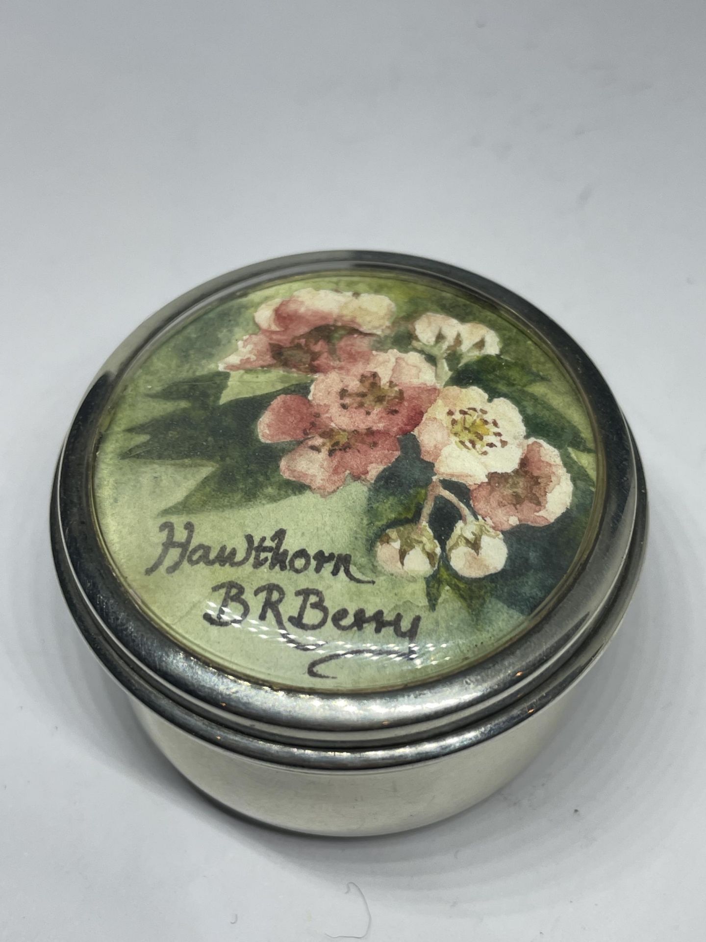 A HALLMARKED BIRMINGHAM SILVER POT WITH A WATERCOLOUR INSERT HAWTHORN BR BERRY - Image 3 of 4