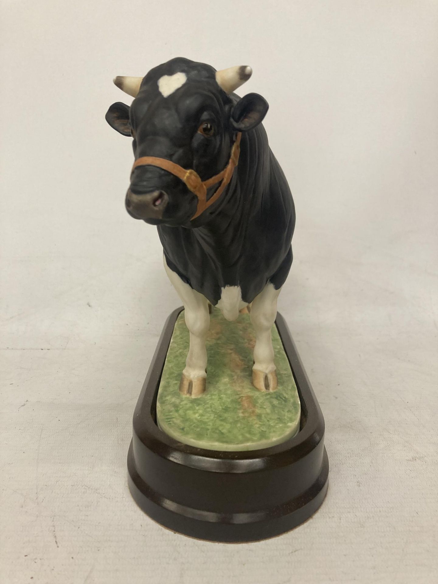 A ROYAL WORCESTER MODEL OF A BRITISH FRESIAN BULL MODELLED BY DORIS LINDNER AND PRODUCED IN A - Image 2 of 5