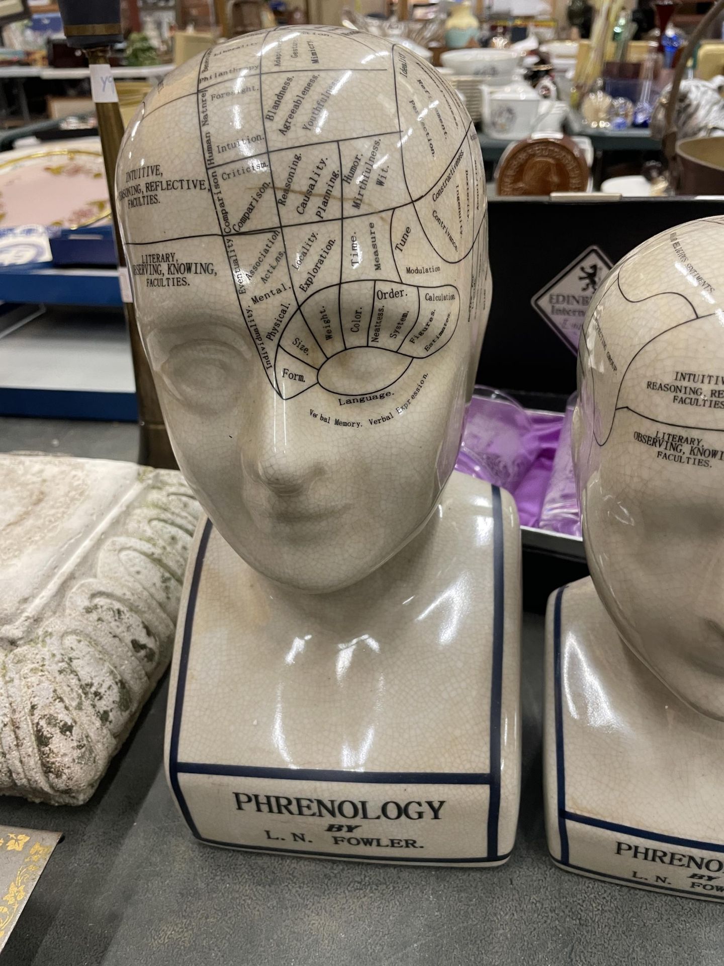 TWO CERAMIC PHRENOLOGY HEADS, HEIGHTS 29CM AND 23CM - Image 3 of 4