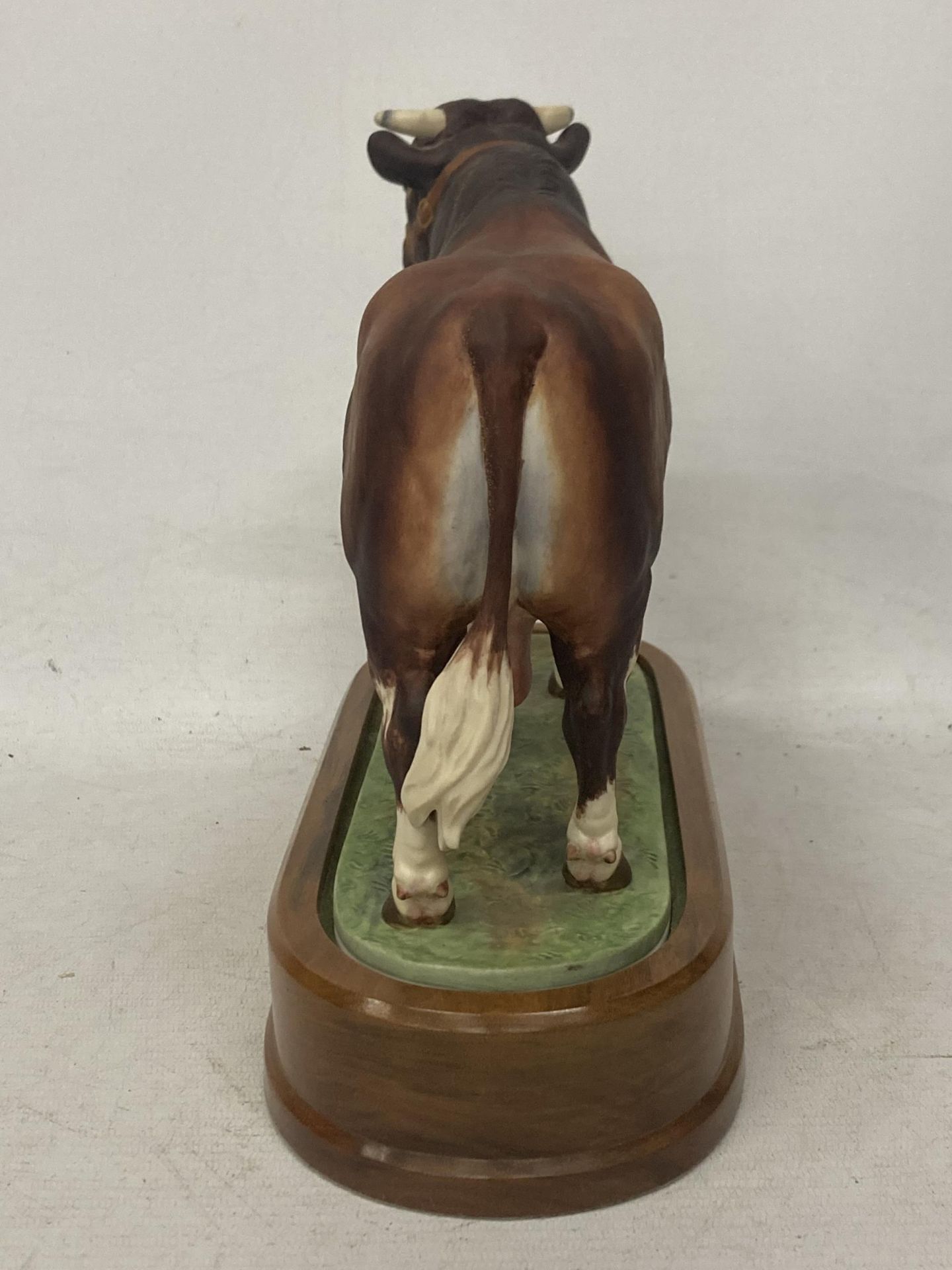 A ROYAL WORCESTER MODEL OF A DAIRY SHORTHORN BULL MODELLED BY DORIS LINDNER PRODUCED IN A LIMITED - Image 4 of 5