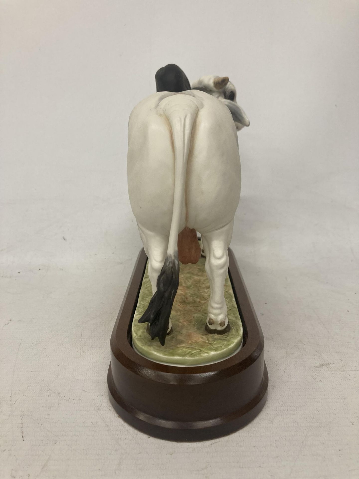 A ROYAL WORCESTER MODEL OF A BRAHMAN BULL MODELLED BY DORIS LINDNER AND PRODUCED IN A LIMITED - Image 5 of 5