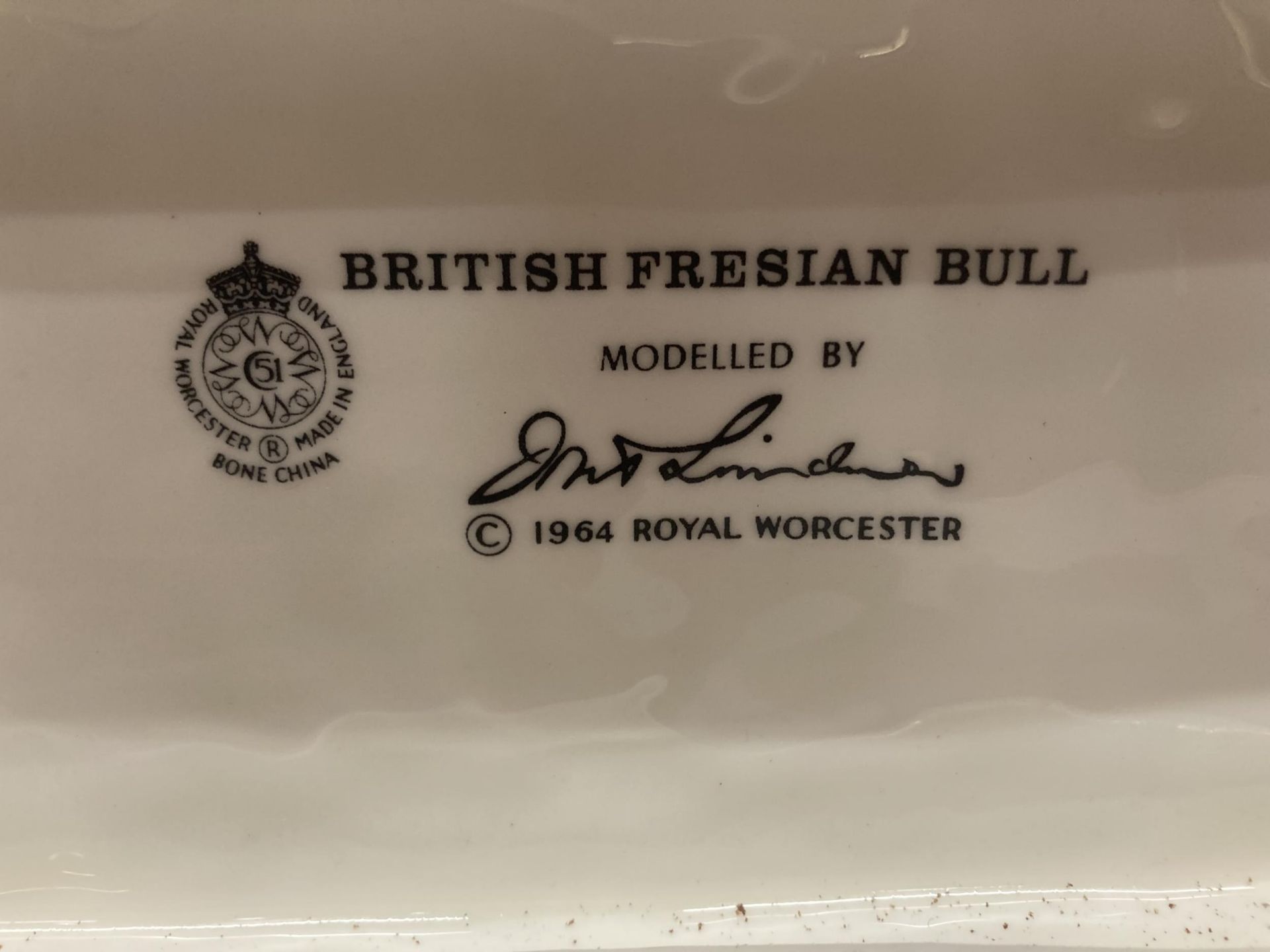 A ROYAL WORCESTER MODEL OF A BRITISH FRESIAN BULL MODELLED BY DORIS LINDNER AND PRODUCED IN A - Image 5 of 5