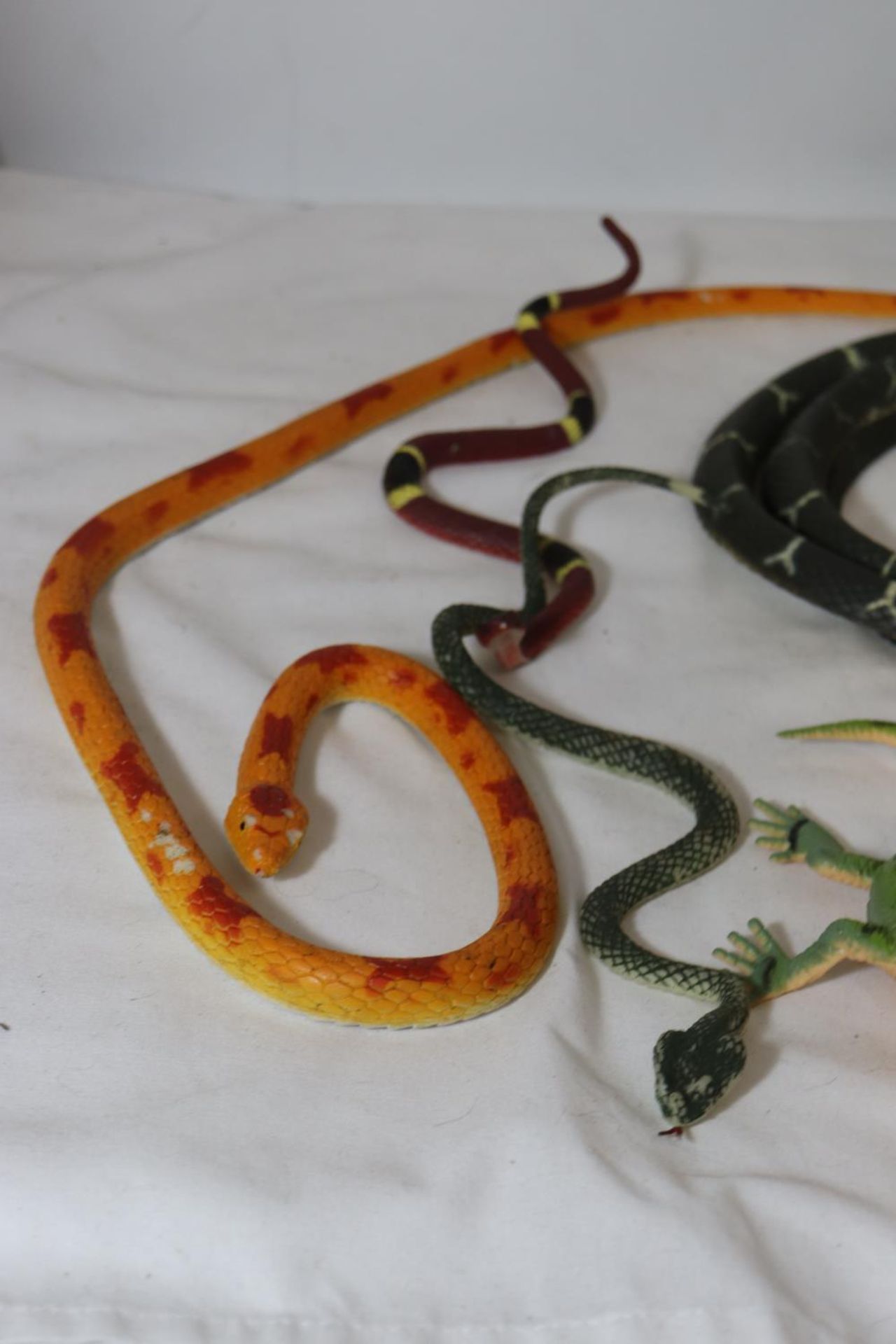 ATUB CONTAINING REPTILES AND AMPHIBIANS - Image 5 of 5