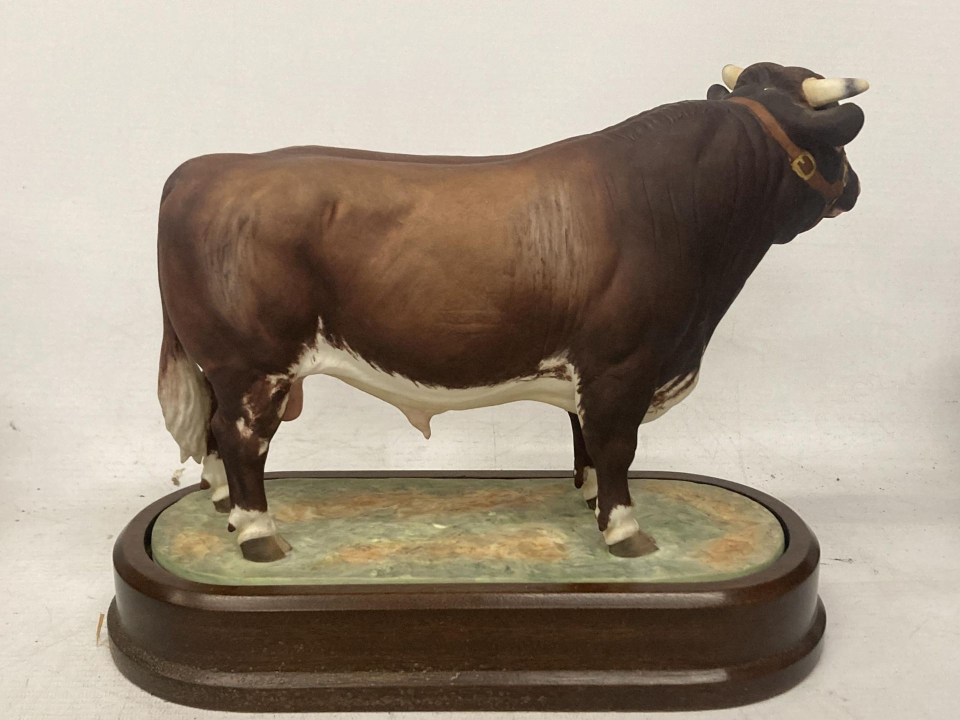 A ROYAL WORCESTER MODEL OF A DAIRY SHORTHORN BULL MODELLED BY DORIS LINDNER PRODUCED IN A LIMITED - Image 3 of 5