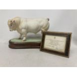 A ROYAL WORCESTER MODEL OF A CHAROLAIS BULL MODELLED BY DORIS LINDNER AND PRODUCED IN A LIMITED