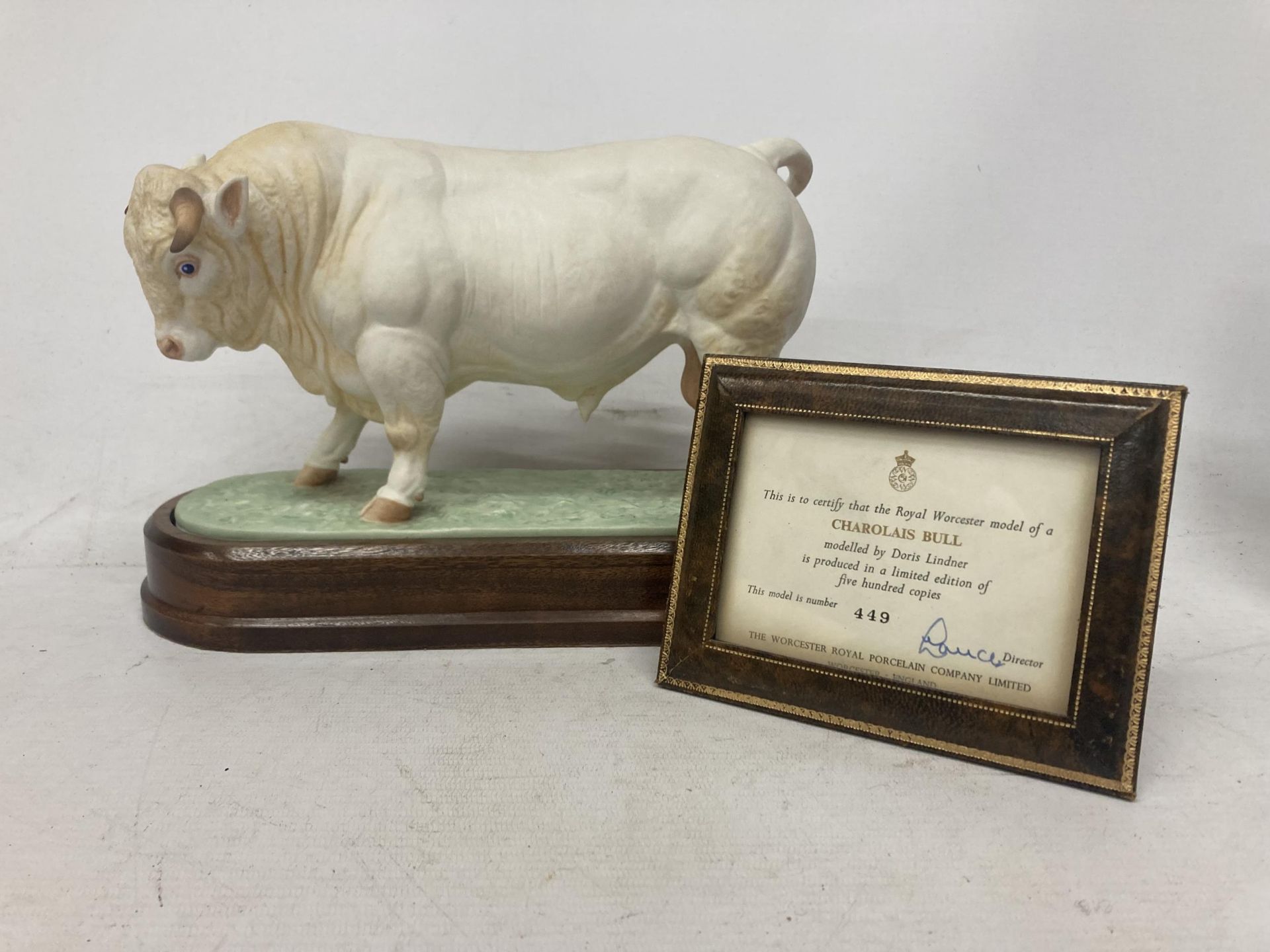 A ROYAL WORCESTER MODEL OF A CHAROLAIS BULL MODELLED BY DORIS LINDNER AND PRODUCED IN A LIMITED