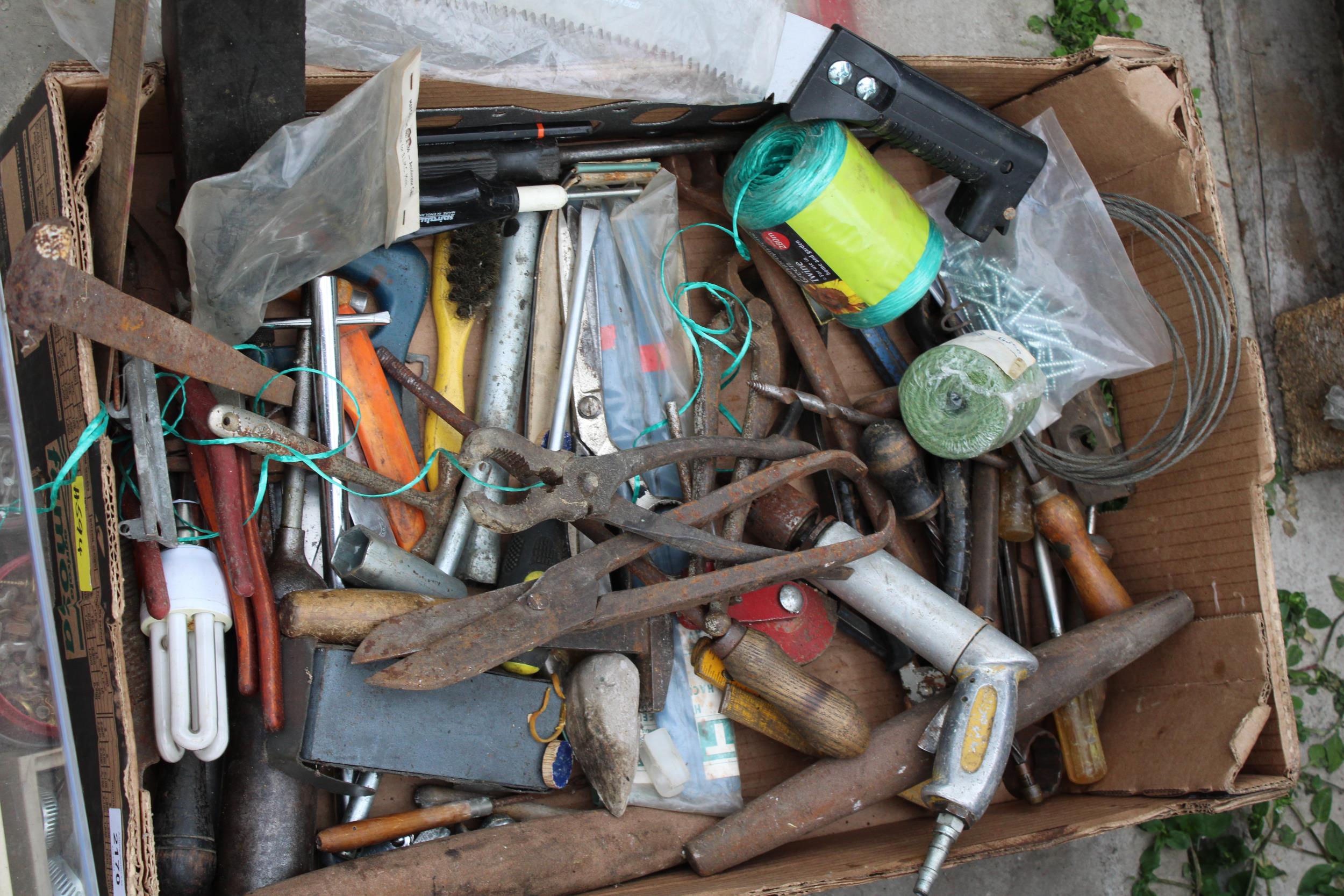 AN ASSORTMENT OF TOOLS TO INCLUDE SNIPS, FILES AND AN AXE ETC - Image 3 of 4