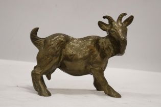 A VERY HEAVY SOLID BRASS GOAT, HEIGHT 16CM, LENGTH 18CM