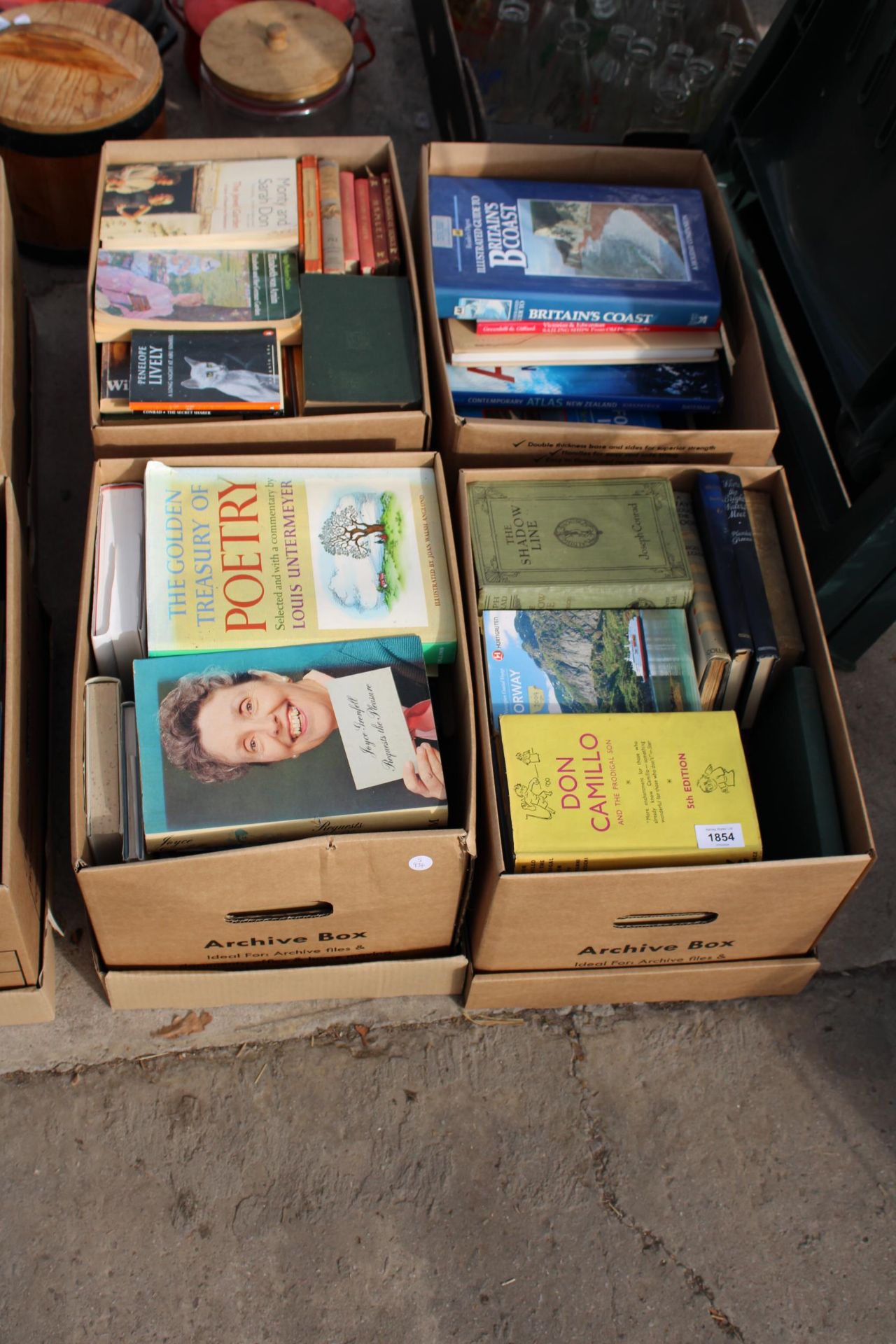 A LARGE ASSORTMENT OF VARIOUS HARDBACK AND PAPERBACK BOOKS