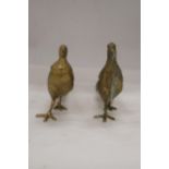 A PAIR OF COCK AND HEN PHEASANTS, HEIGHT 12CM, LENGTH 28CM