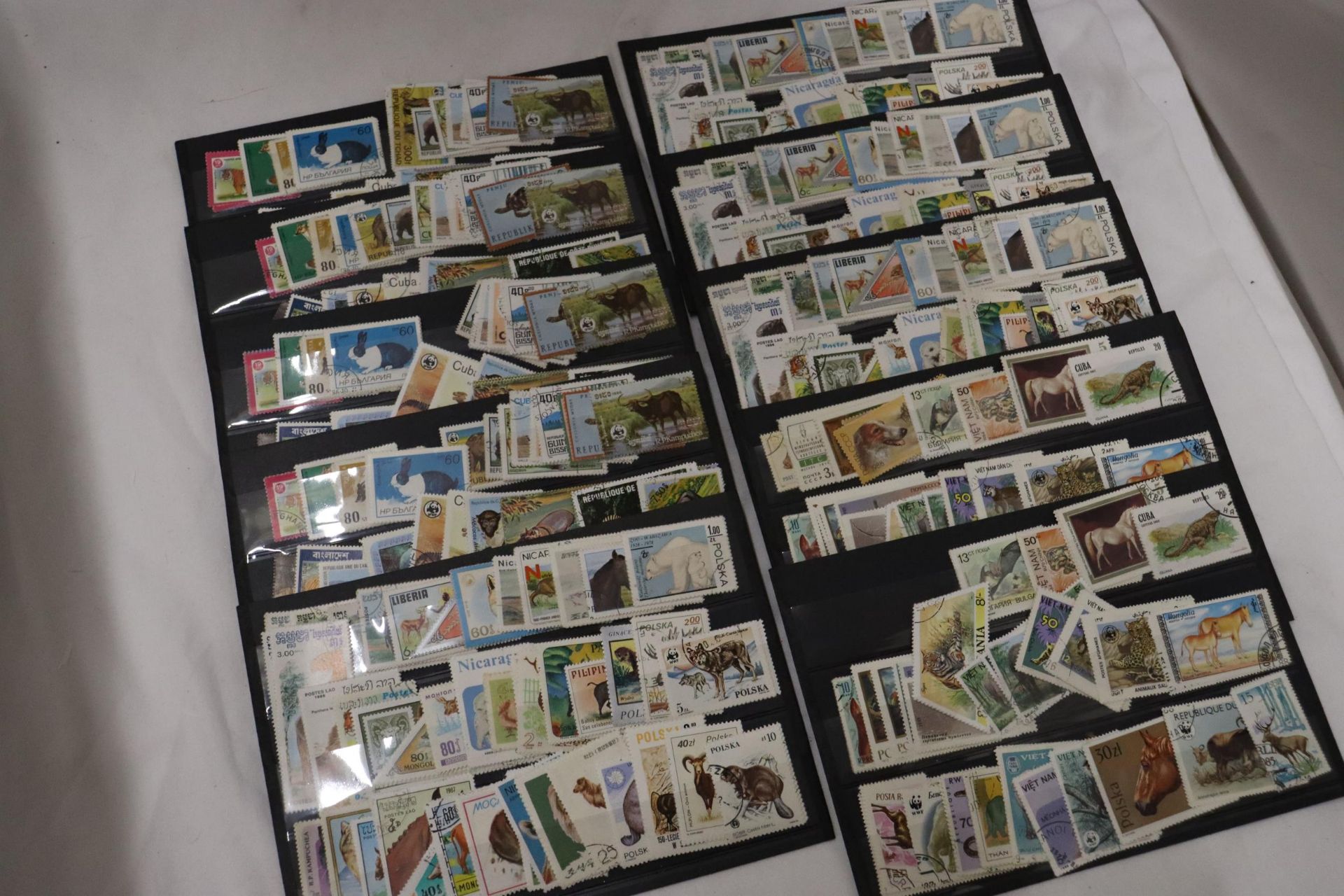 A COLLECTION OF STAMPS ON STOCK SHEETS - Bild 2 aus 7
