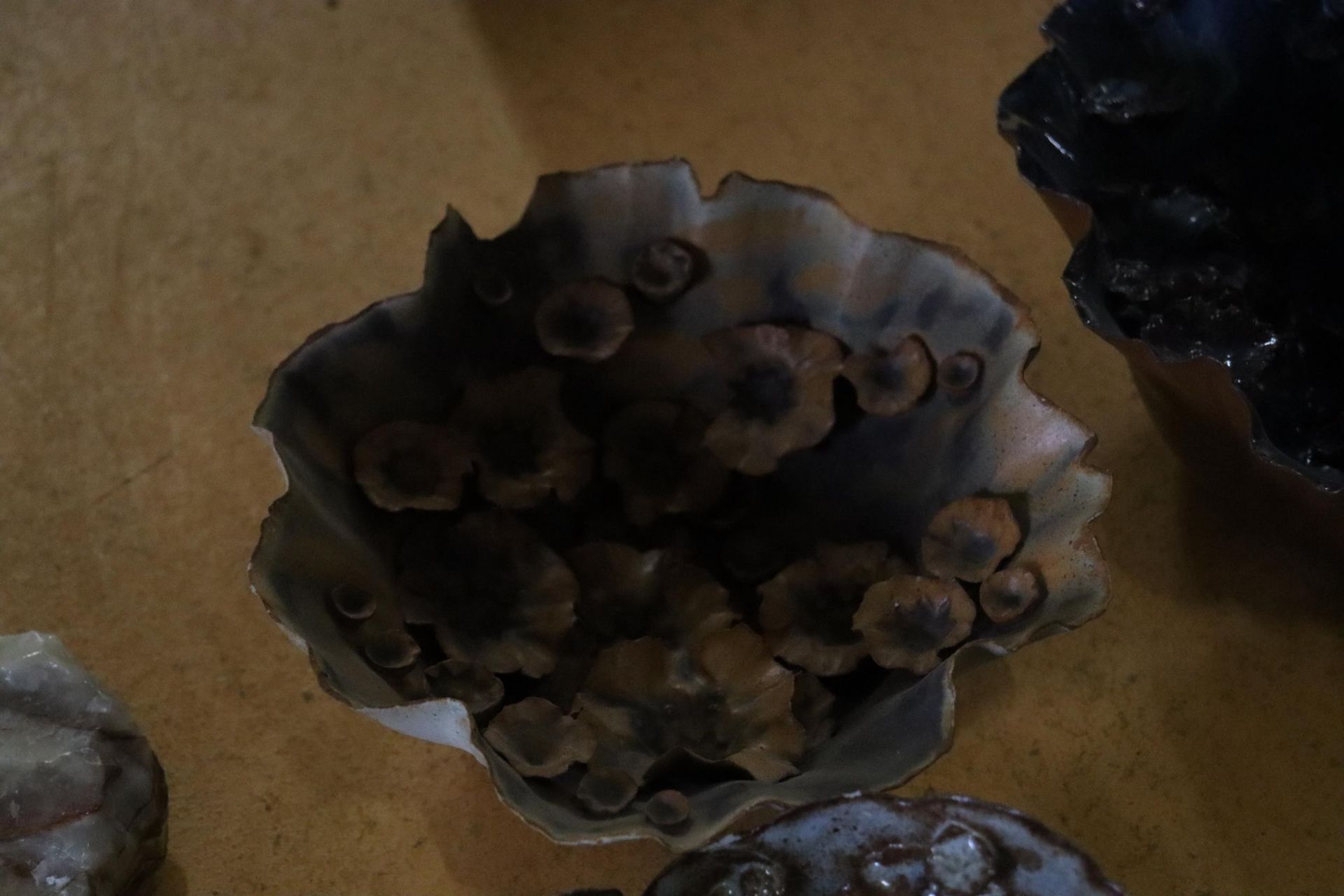 A COLLECTION OF STUDIO POTTERY SHELLS WITH FOLIAGE/FLOWER DESIGN MARKED CP TO BASE (5 IN TOTAL) - Image 7 of 9