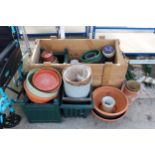 A LARGE WOODEN CRATE WITH ROPE HANDLES AND AN ASSORTMENT OF PLASTIC, WOODEN AND TERRACOTTA PLANT