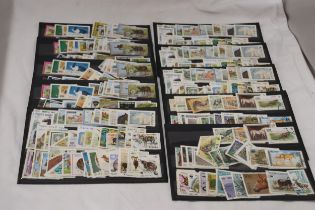A COLLECTION OF STAMPS ON STOCK SHEETS