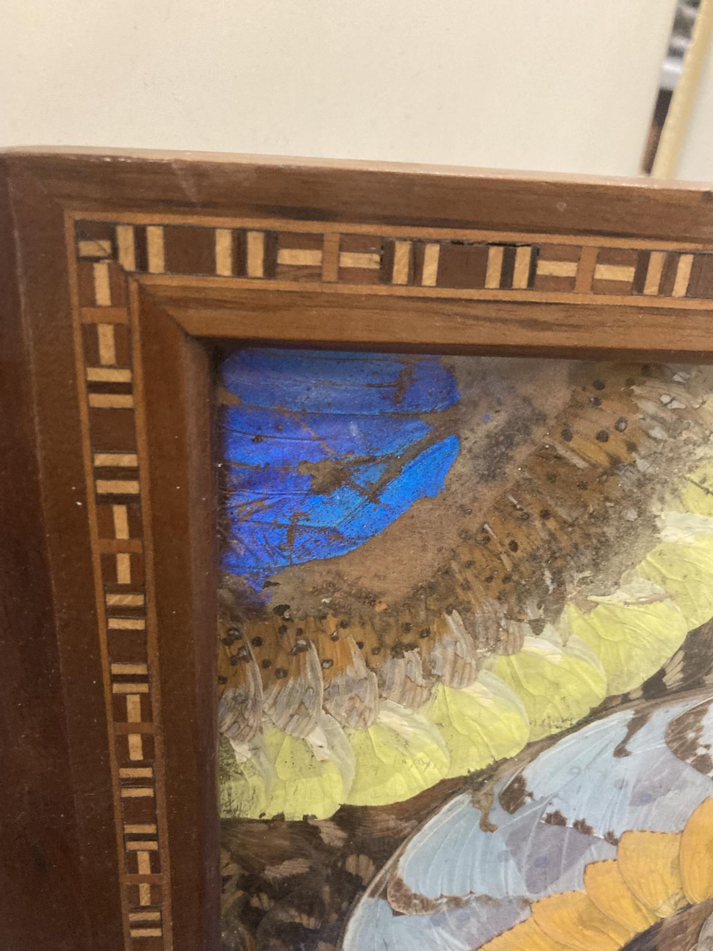 A VINTAGE INLAID WOODEN TRAY WITH BUTTERFLIES - Image 4 of 4