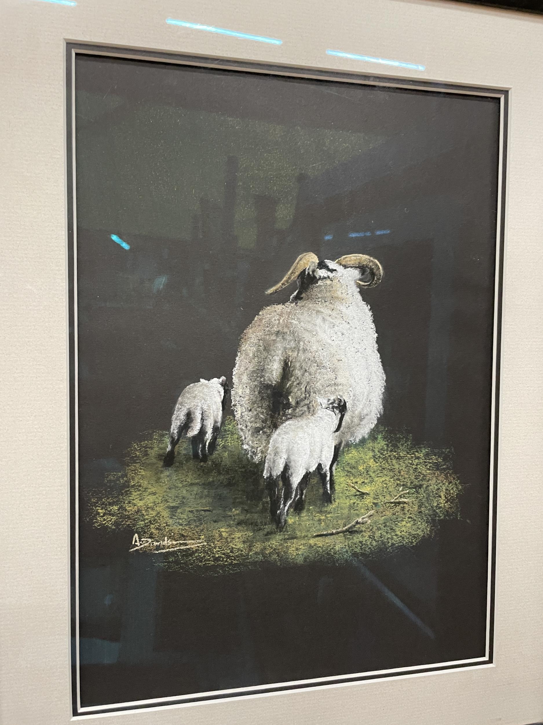 TWO FRAMED AND GLAZED PASTELS OF SCOTTISH BLACK FACE EWES ONE WITH A SINGLE LAMB AT FOOT AND ONE - Image 7 of 8