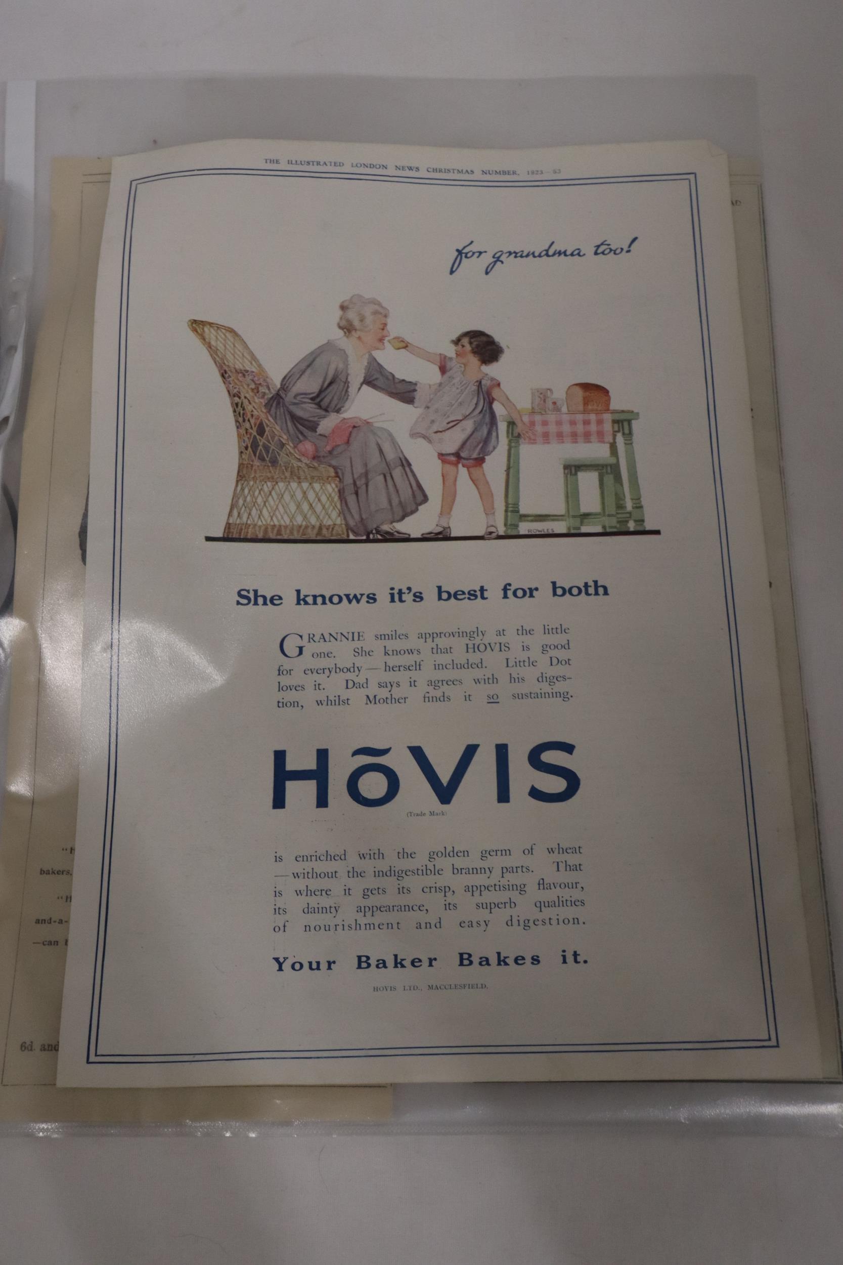 A QUANTITY OF ADVERTISEMENTS FOR HOVIS - Image 7 of 8
