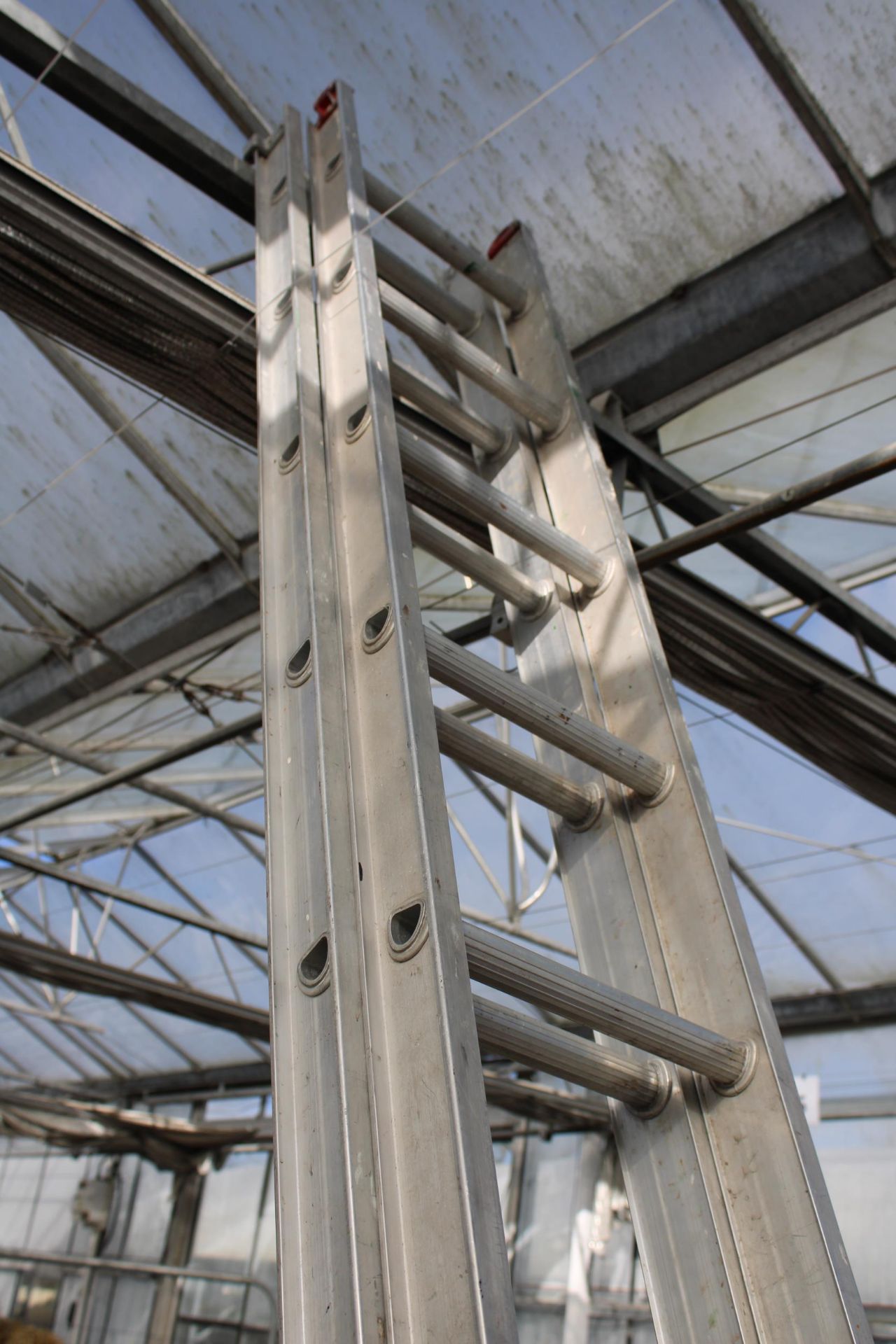 A 24 RUNG TWO SECTION ALUMINIUM EXTENDING LADDER - Image 2 of 2