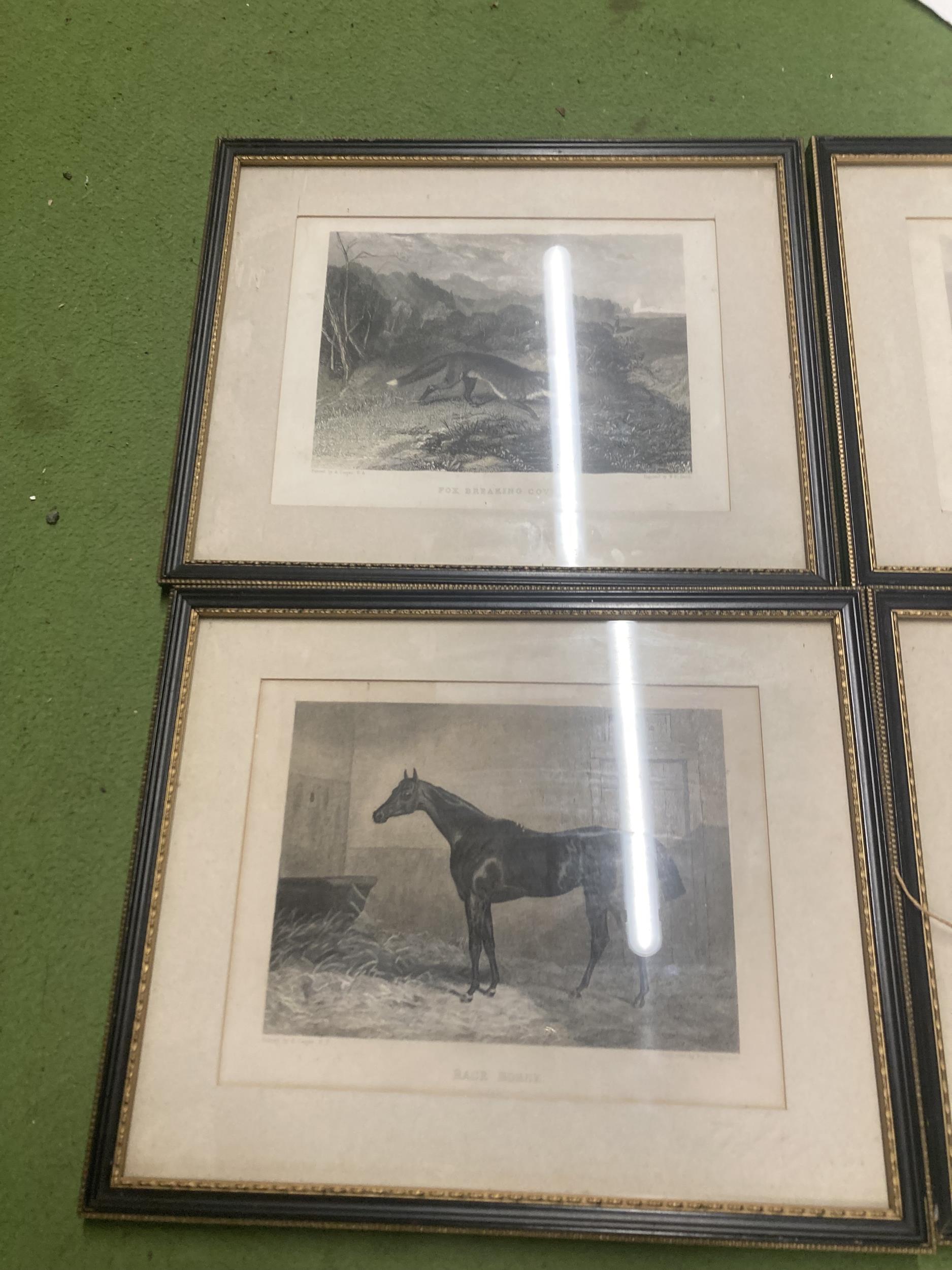 A SET OF FOUR HUNTING SCENCE RELATED ENGRAVED PRINTS TO INCLUDE, CLEARING THE FENCE, FOX BREAKING - Image 2 of 3