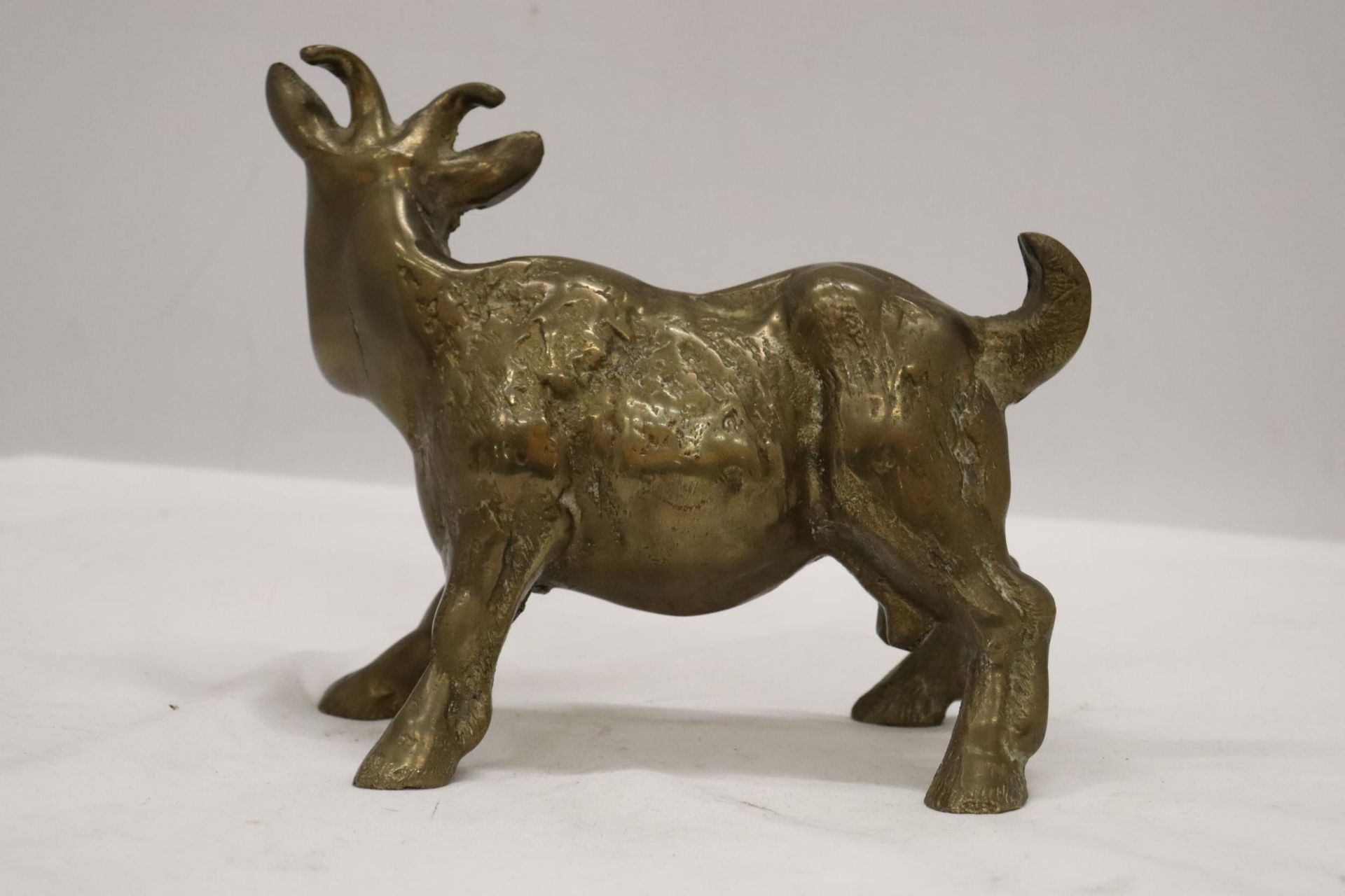 A VERY HEAVY SOLID BRASS GOAT, HEIGHT 16CM, LENGTH 18CM - Image 3 of 5