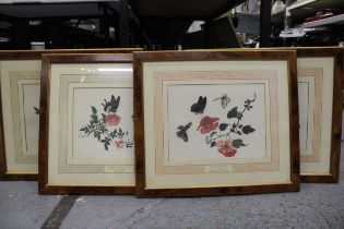 A SET OF FOUR "THE REEVES COLLECTION" FEATURING BUTTERFLIES AND VARIOUS FLOWERS