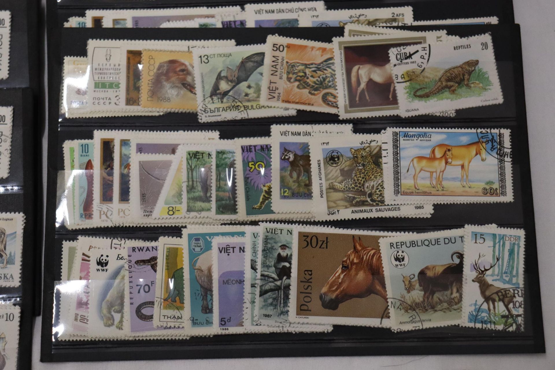 A COLLECTION OF STAMPS ON STOCK CARDS - Bild 3 aus 6